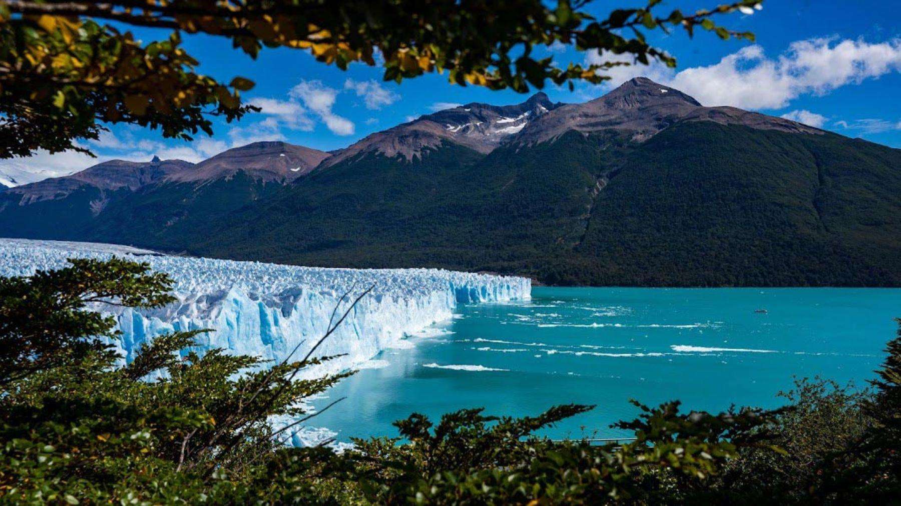 Galería de fotos para redes