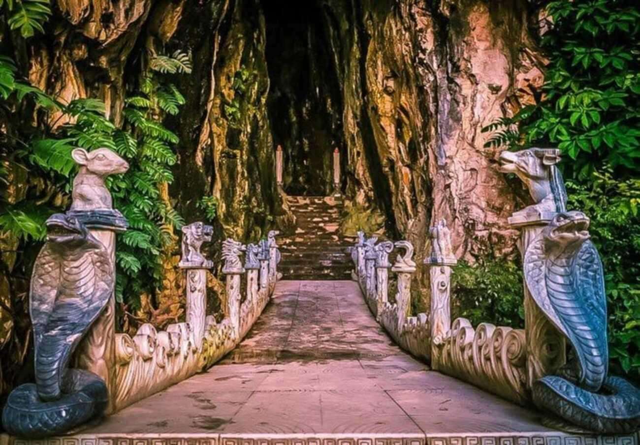 Galería de fotos para redes