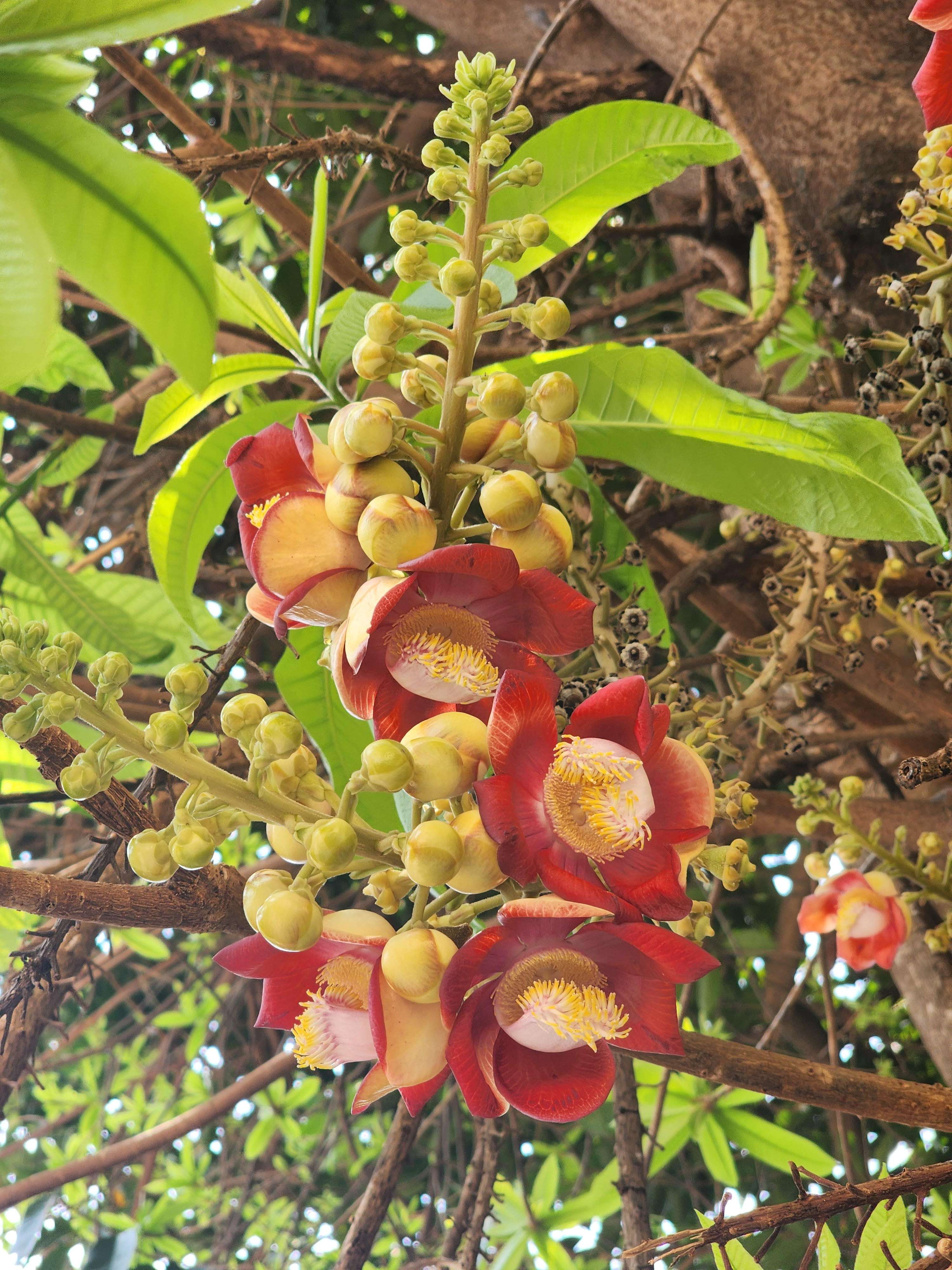 Colagem de mídia