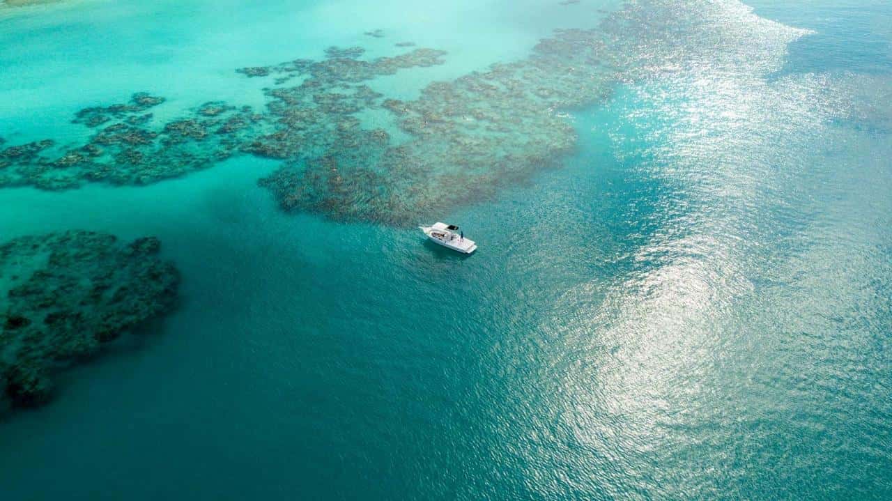 Two-stop snorkel and shipwreck tour from the Dockyard in Bermuda
