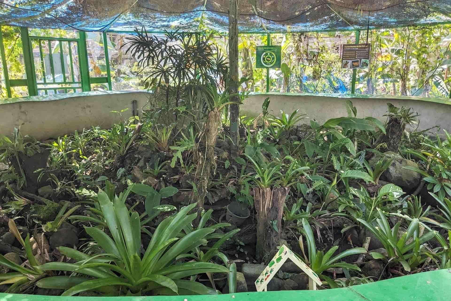 Colagem de mídia