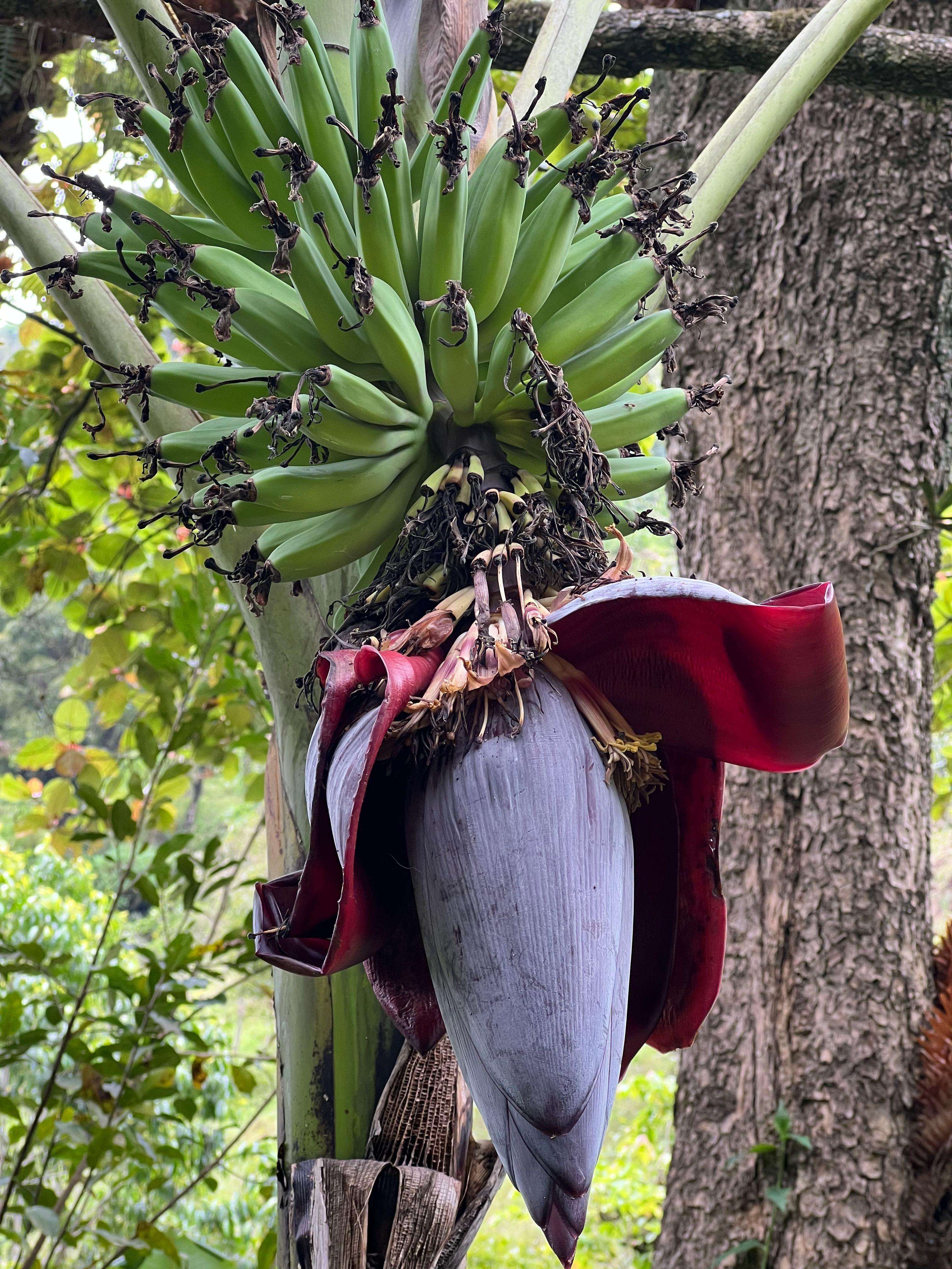 Colagem de mídia