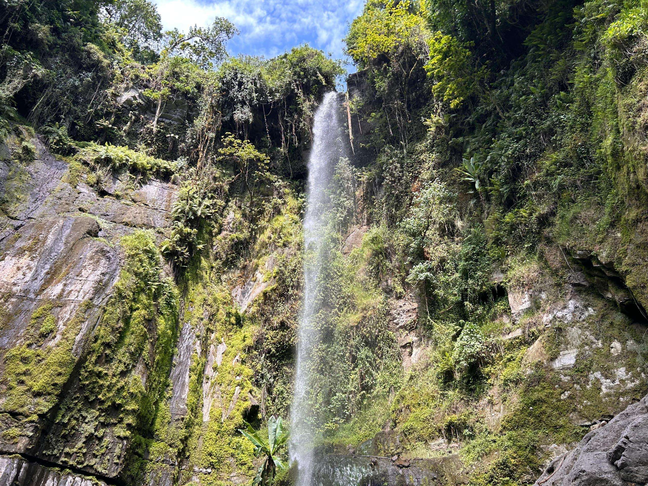 Galería de fotos para redes