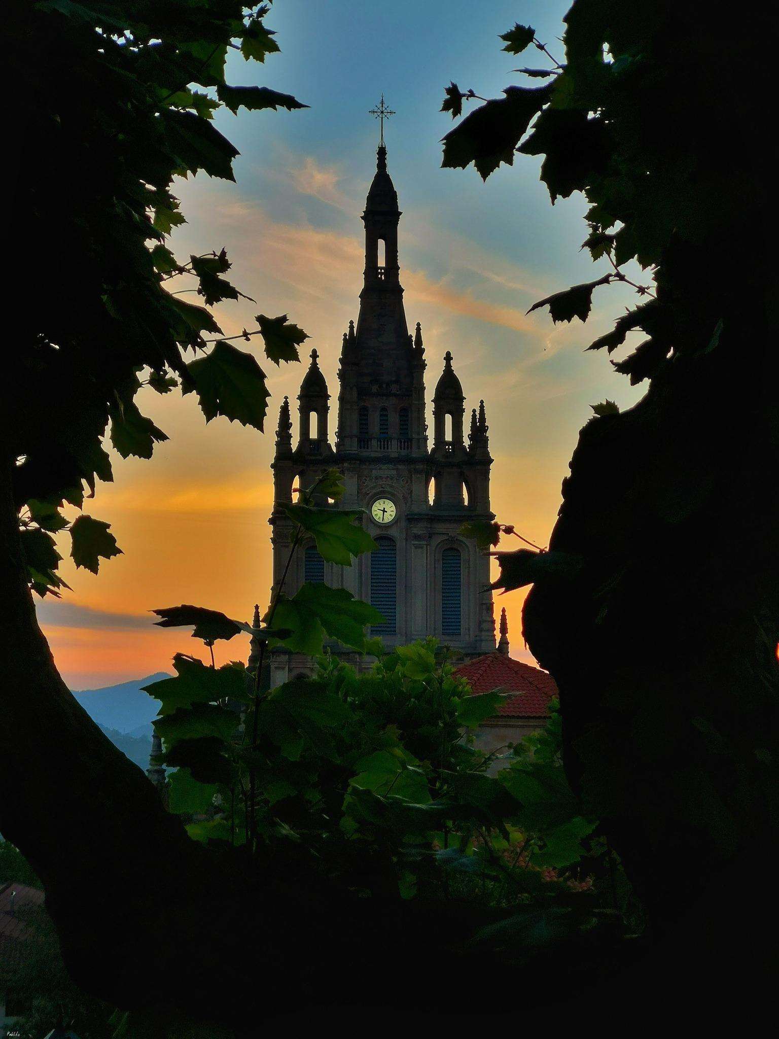 Galería de fotos para redes