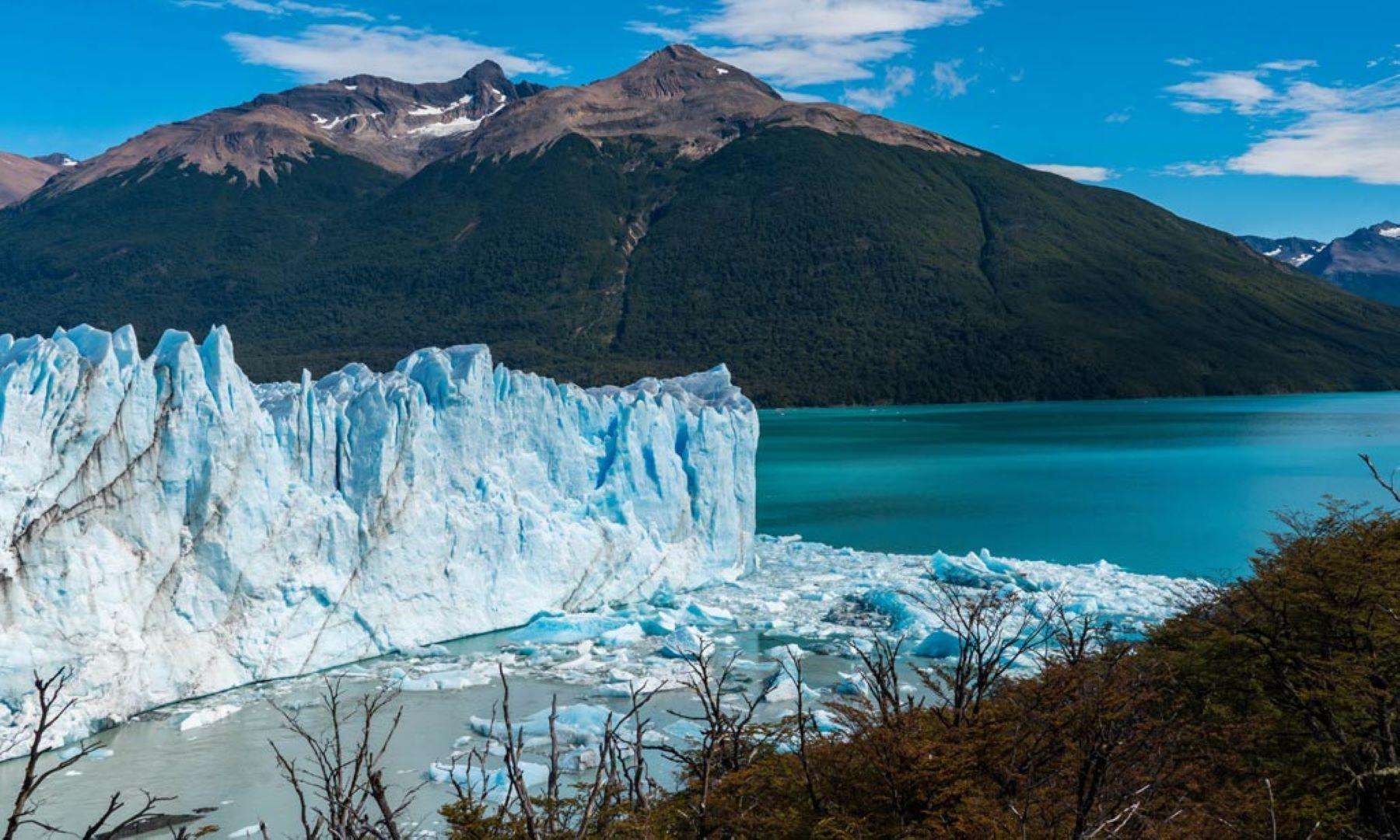 Galería de fotos para redes