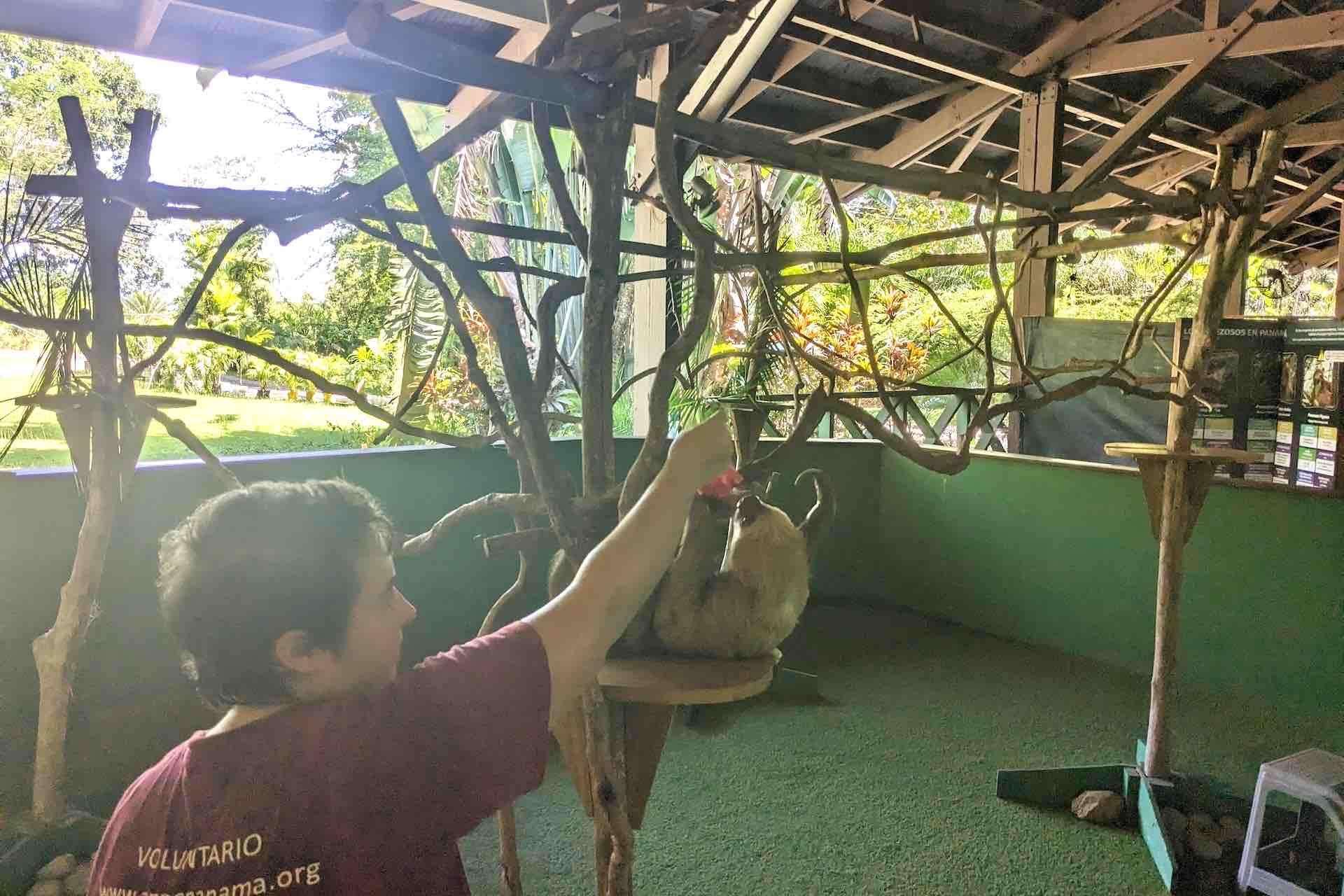 Colagem de mídia