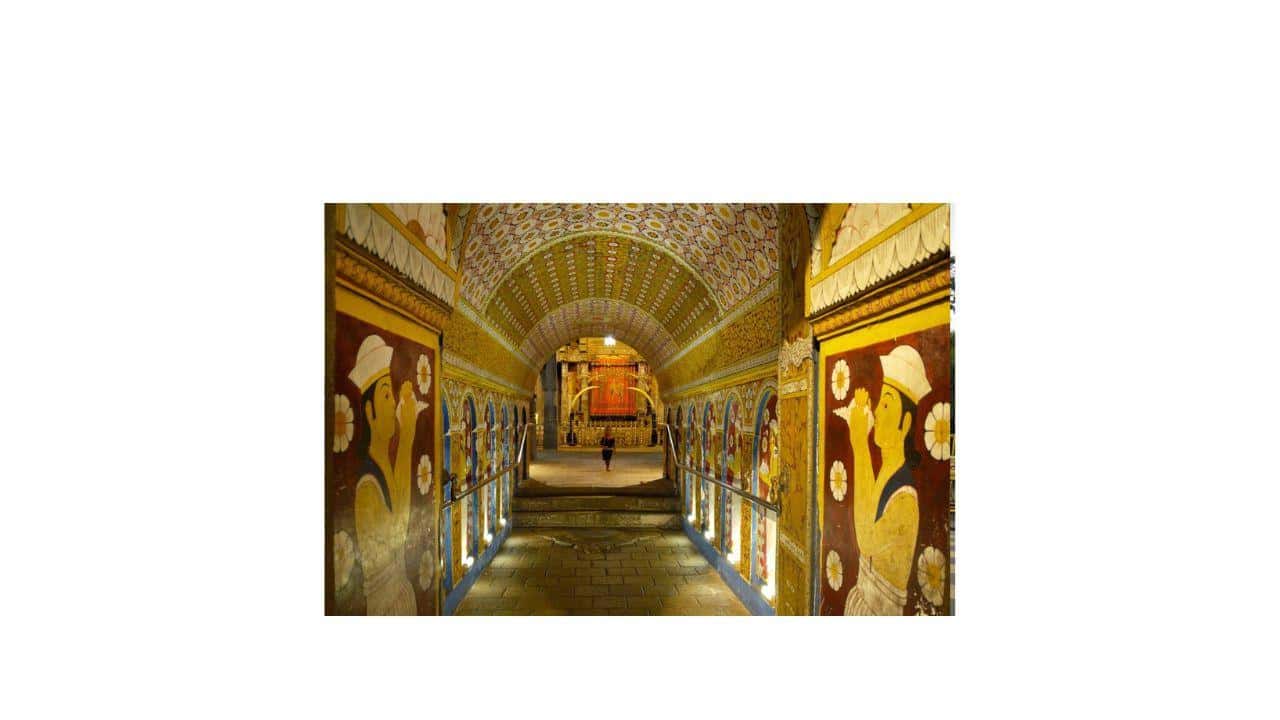 Galerie média