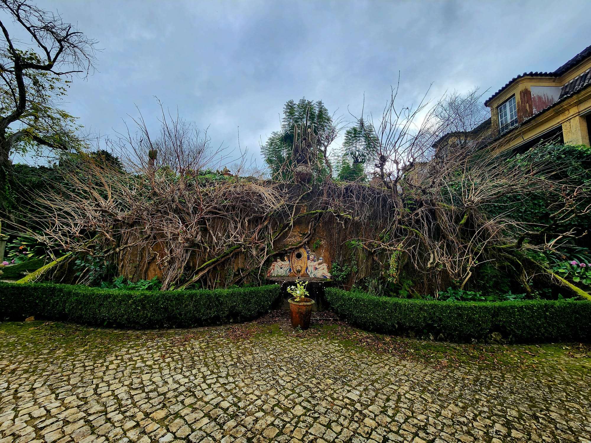 Galería de fotos para redes