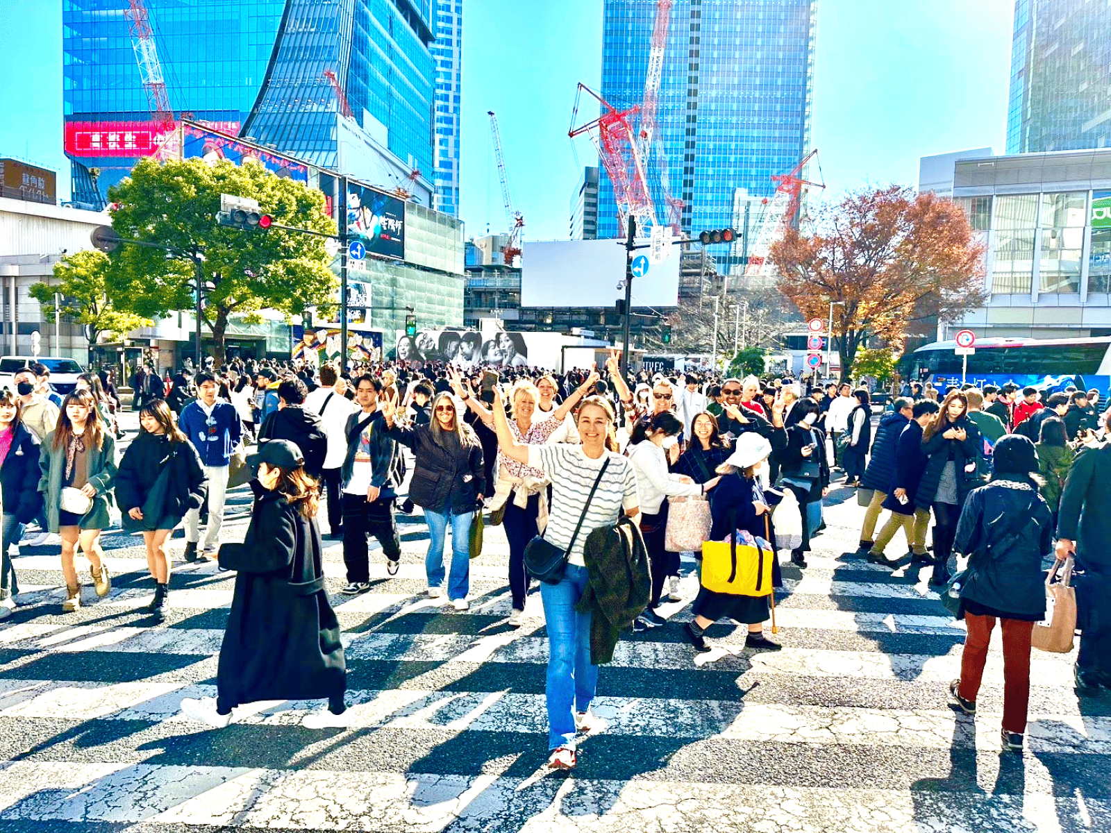 メディア コラージュ