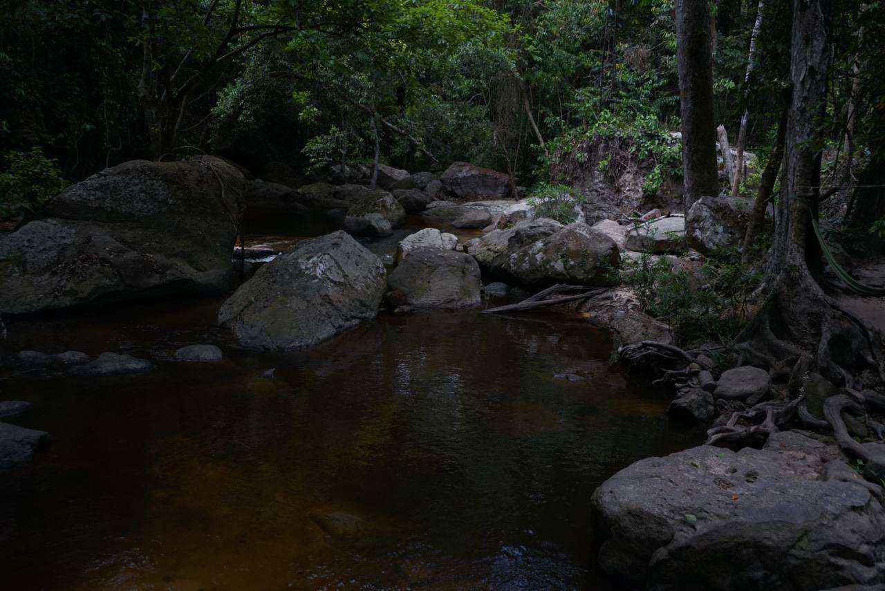 Colagem de mídia