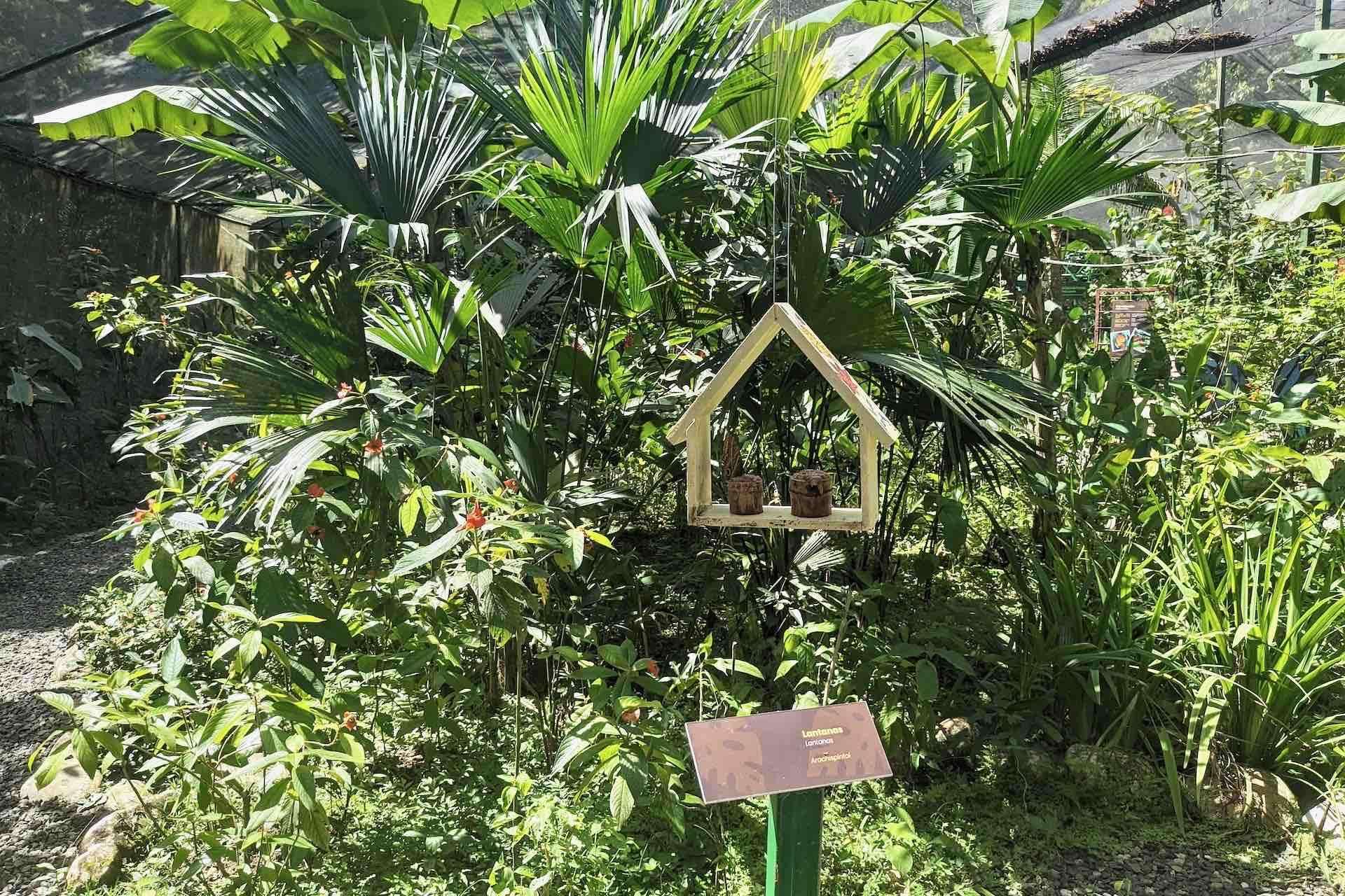 Colagem de mídia
