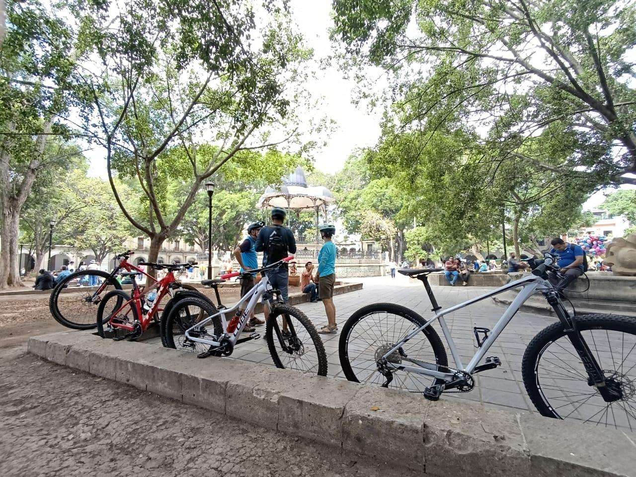 Galería de fotos para redes