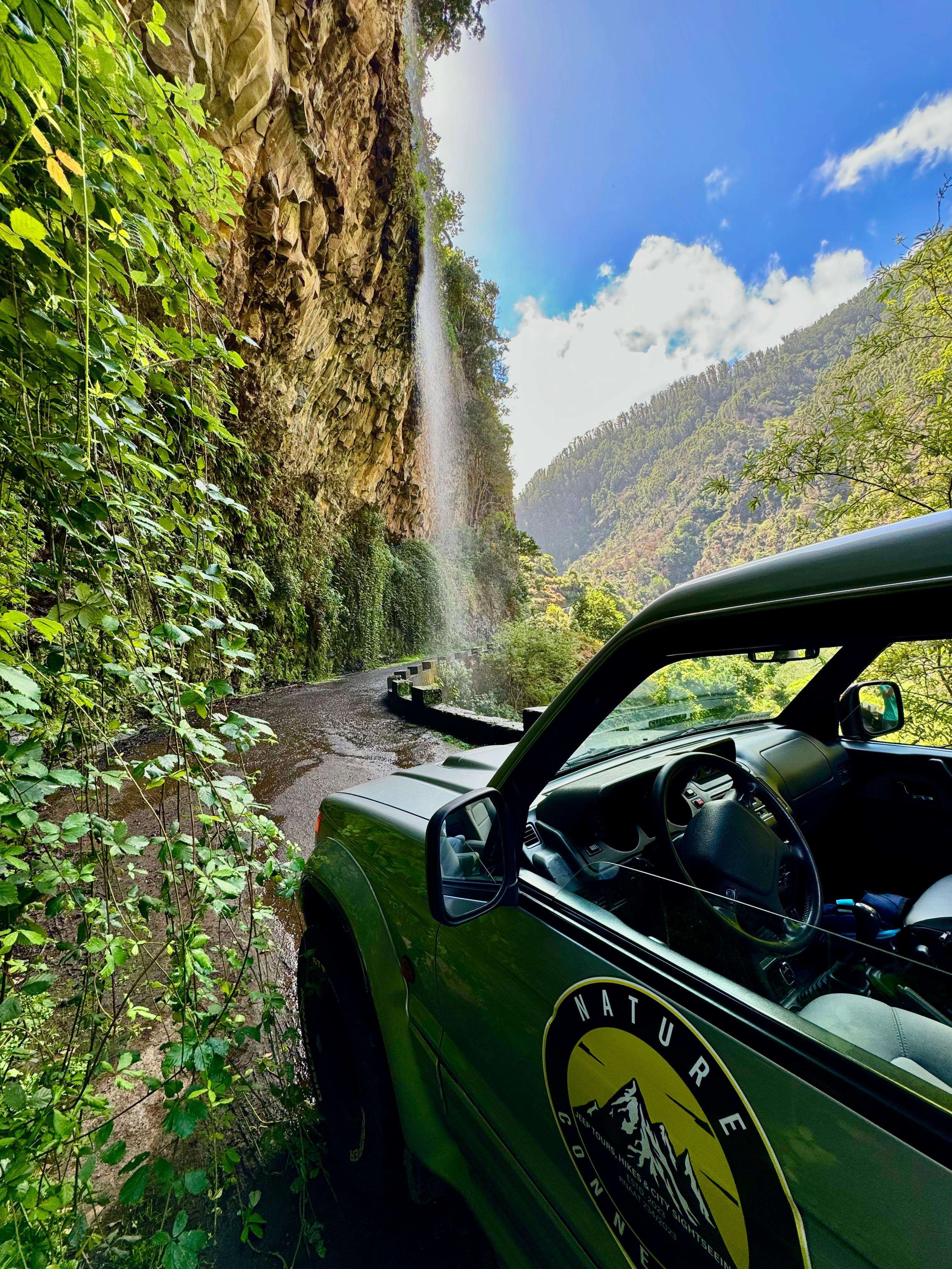 Galería de fotos para redes