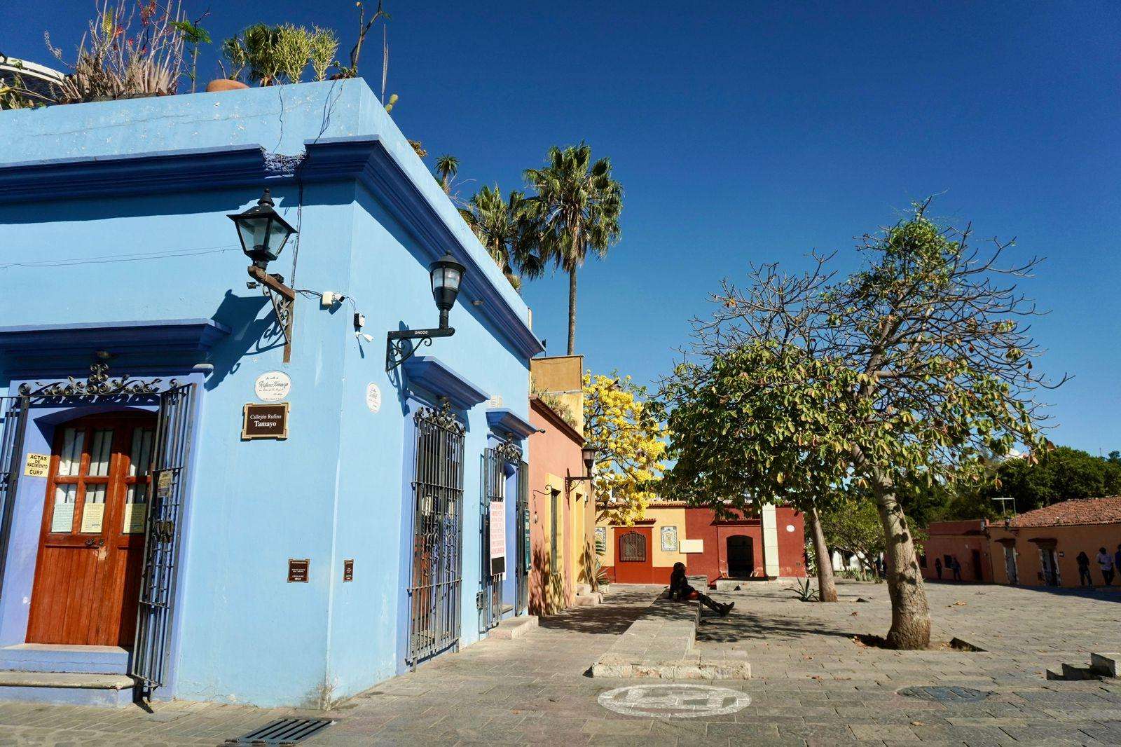 Galería de fotos para redes