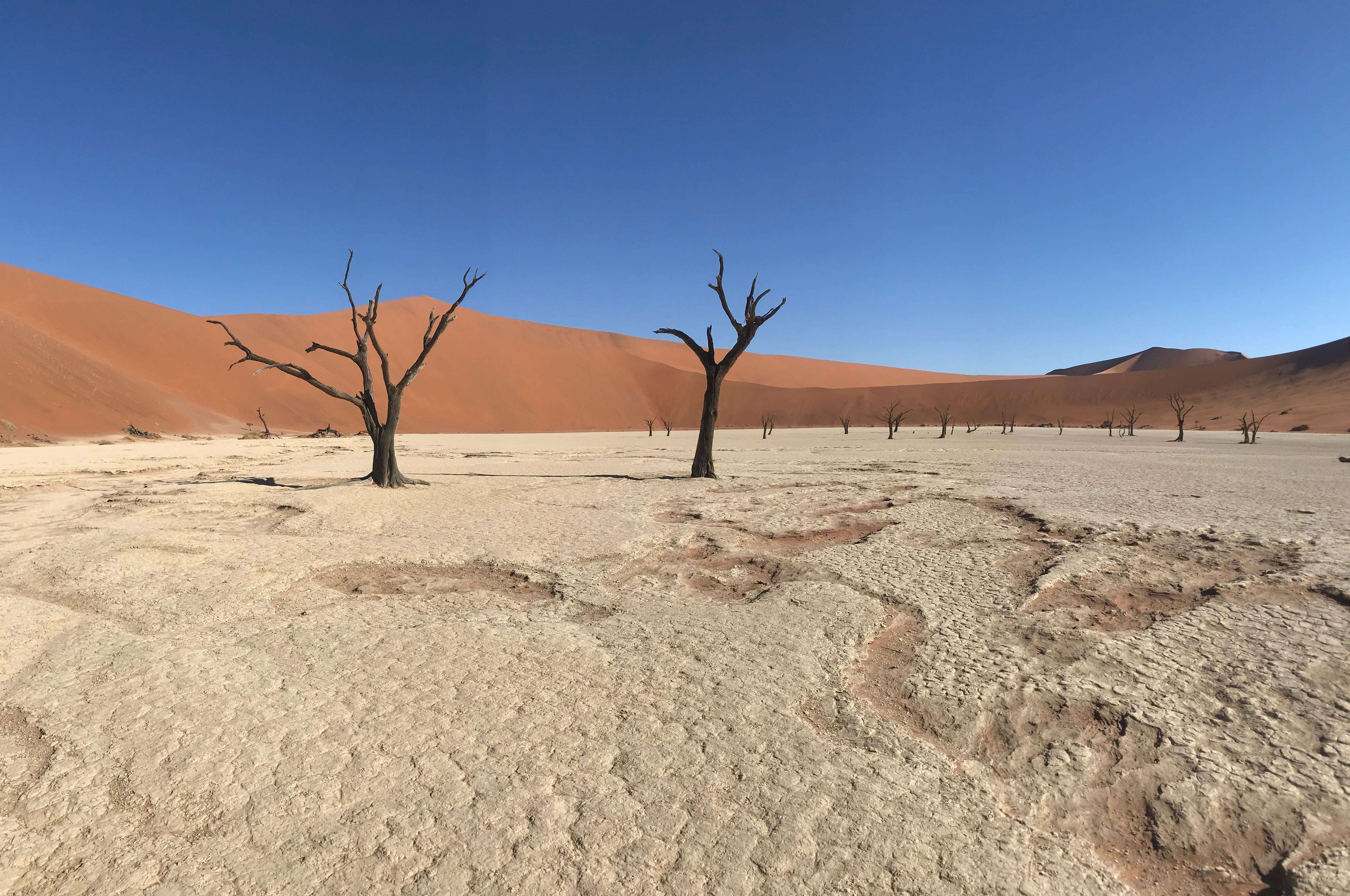 Galería de fotos para redes