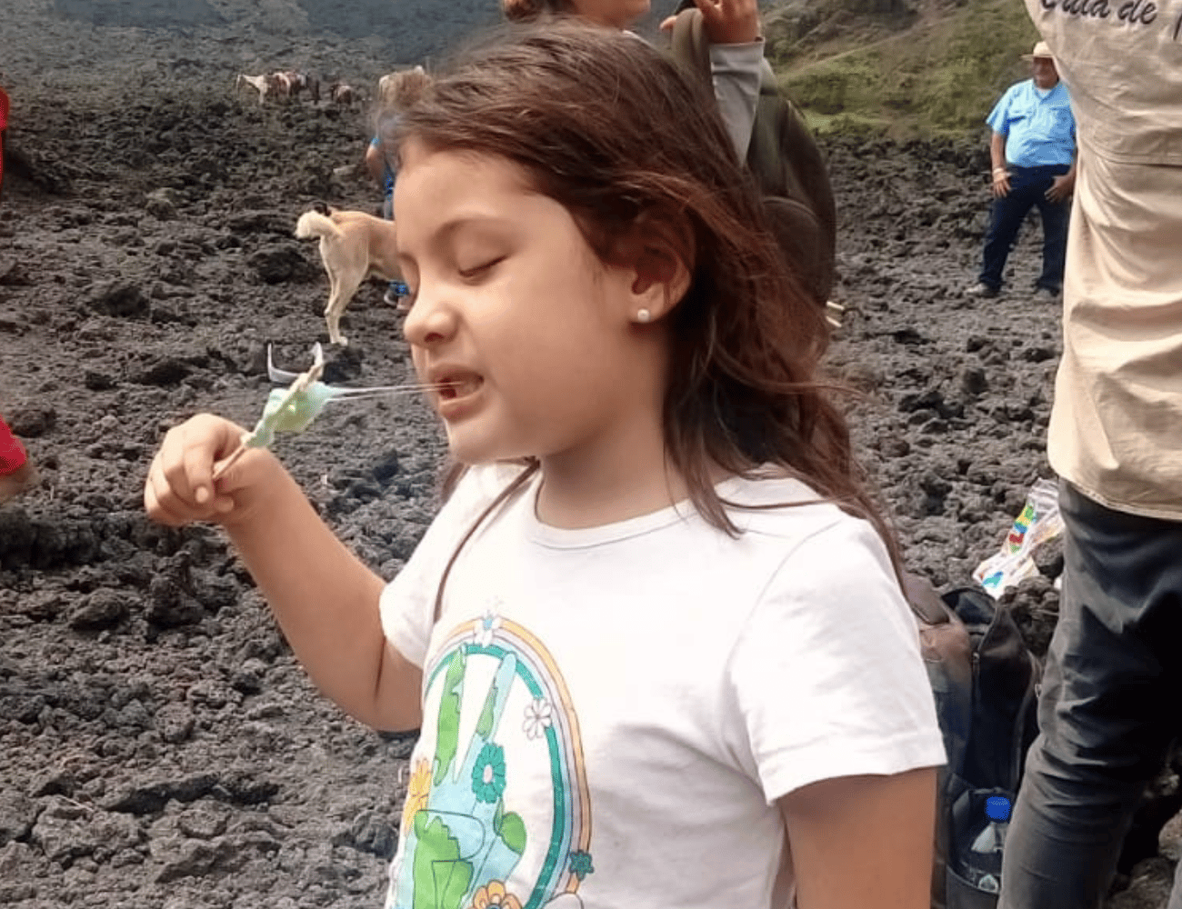 Galería de fotos para redes