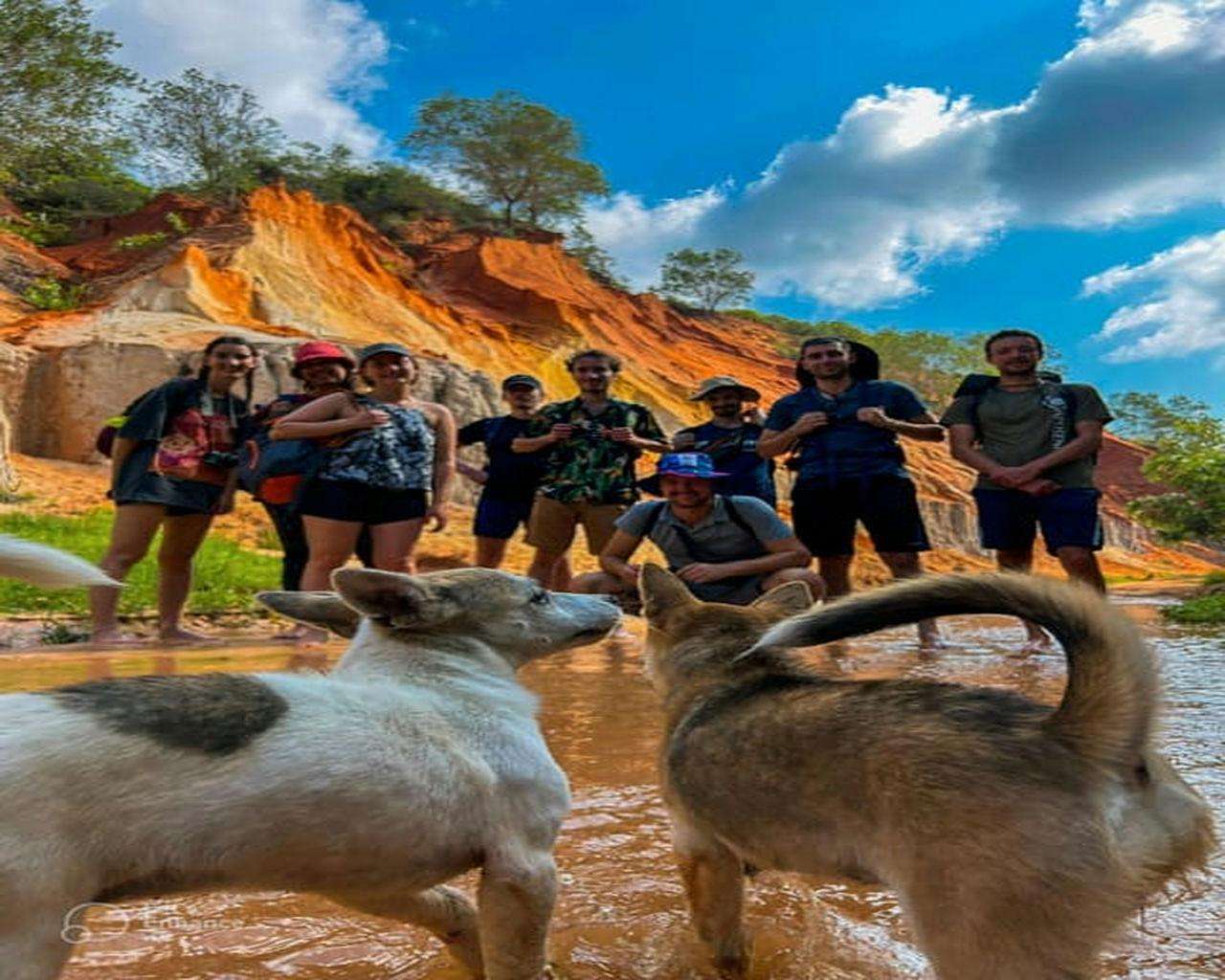 Galería de fotos para redes