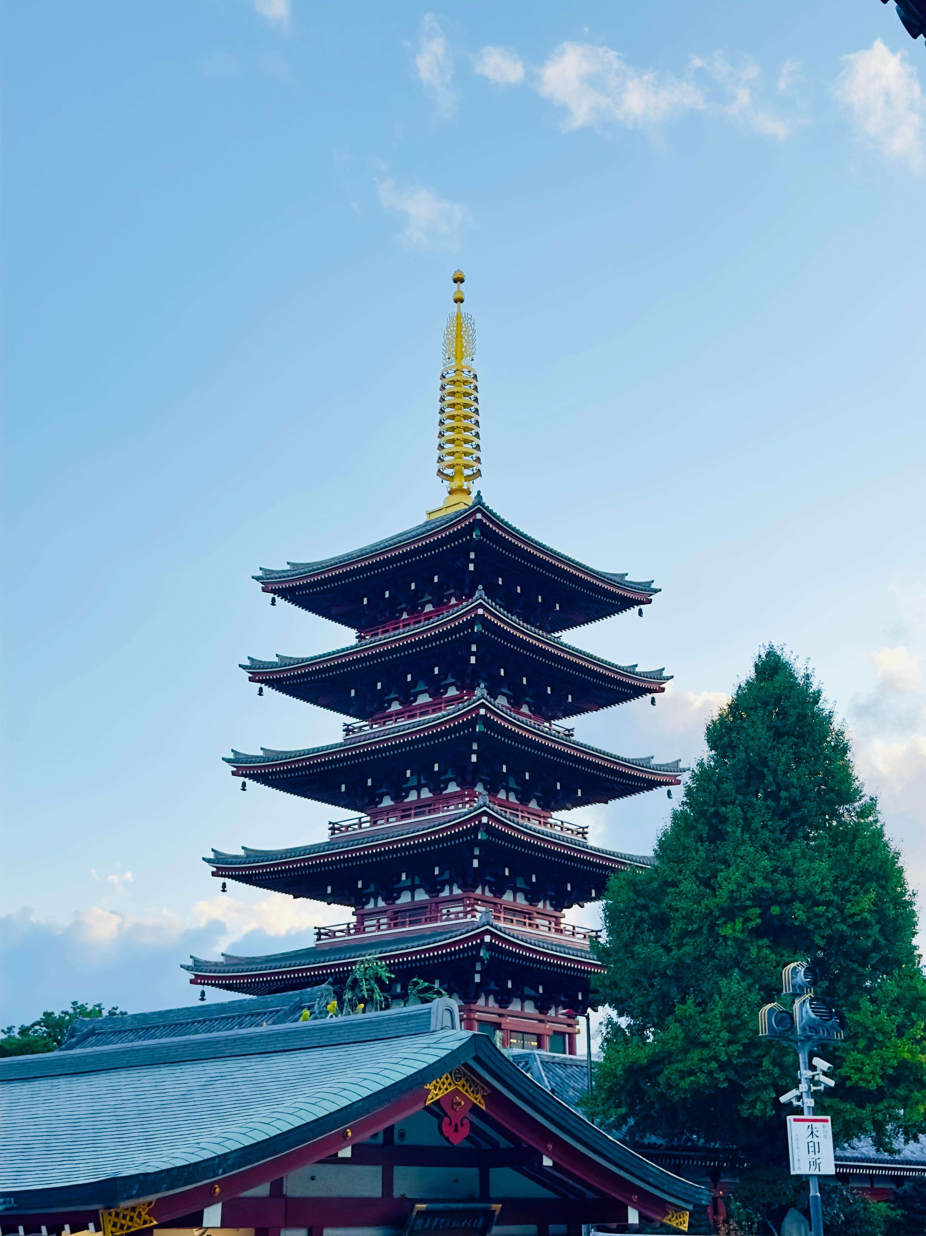 メディア コラージュ