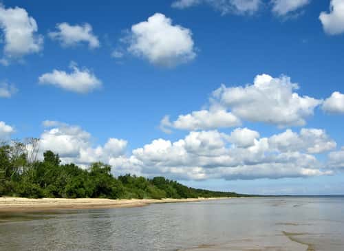 Colagem de mídia