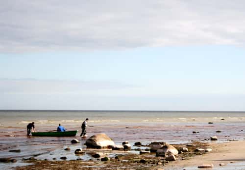 Colagem de mídia
