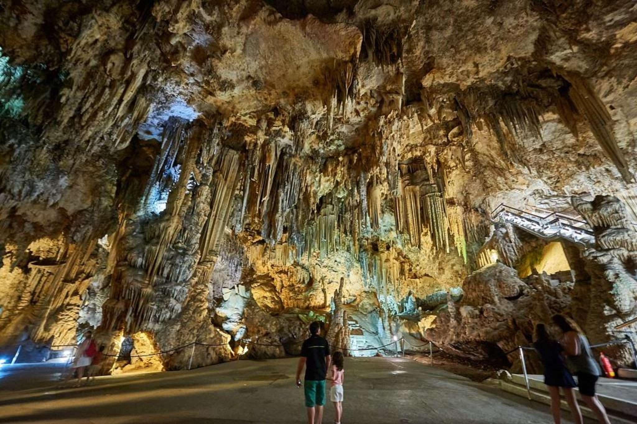 Galería de fotos para redes