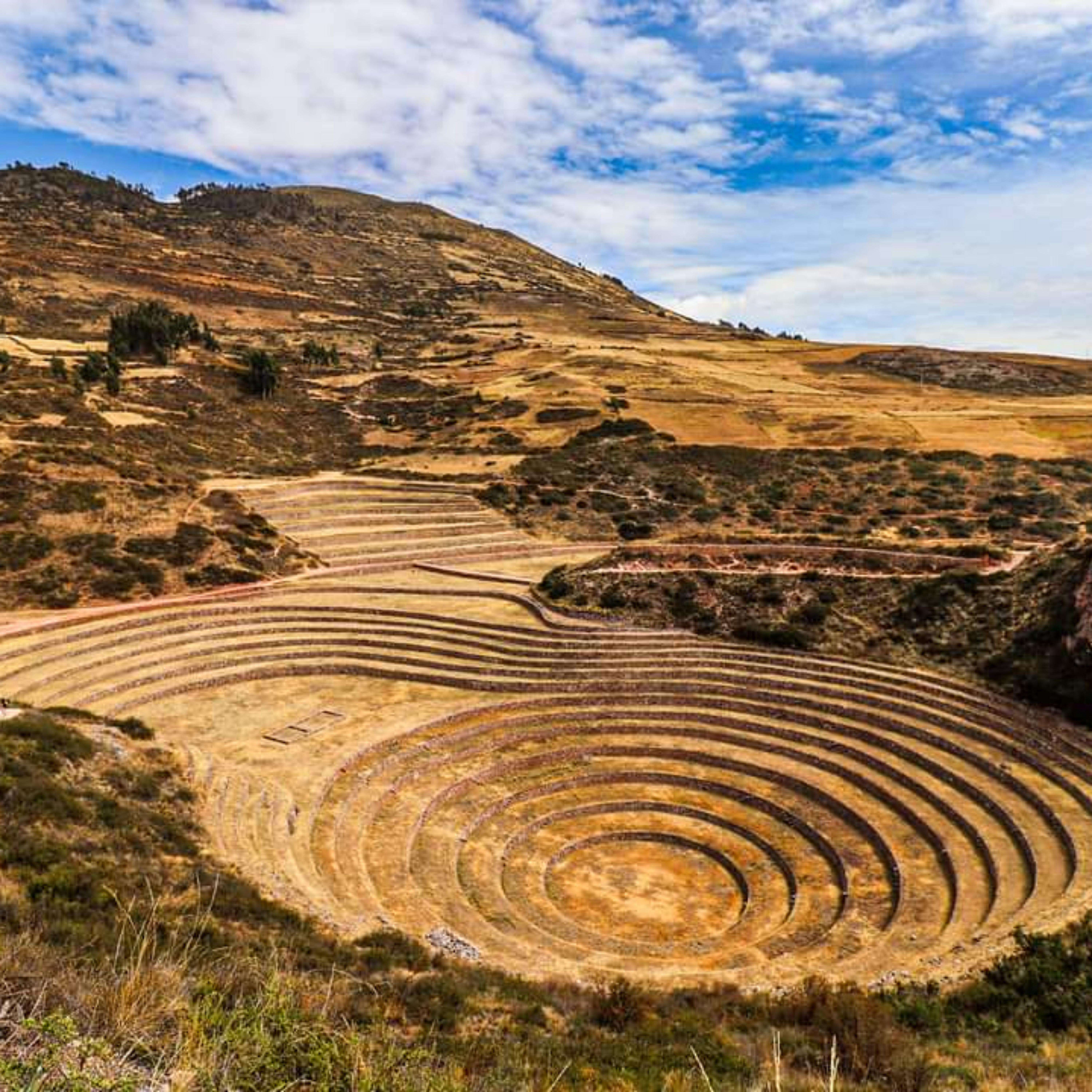 Galería de fotos para redes