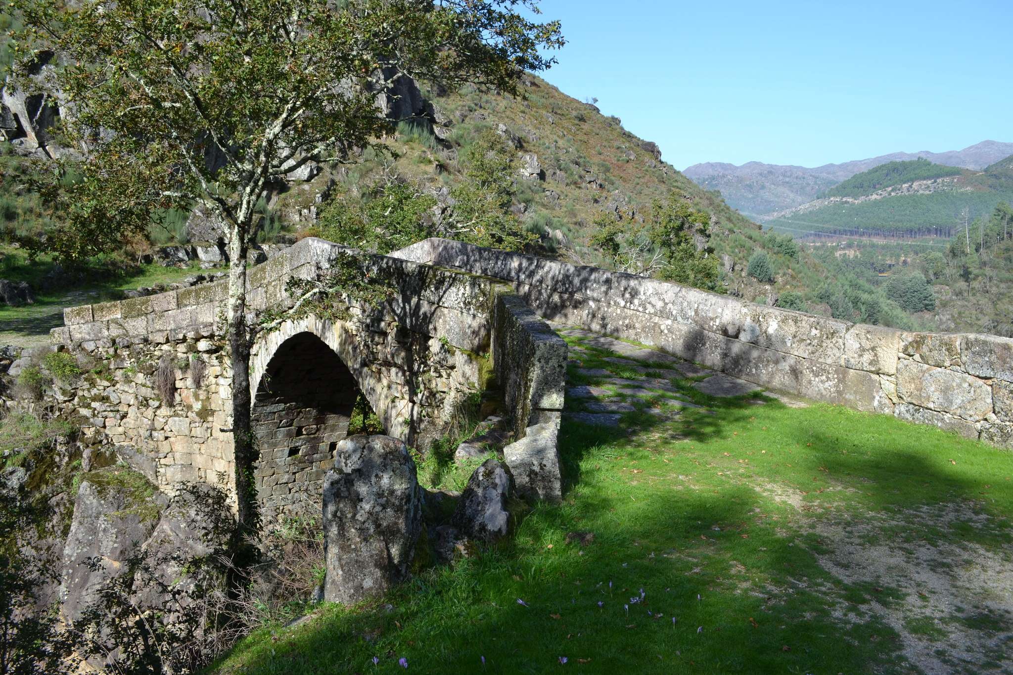 Colagem de mídia