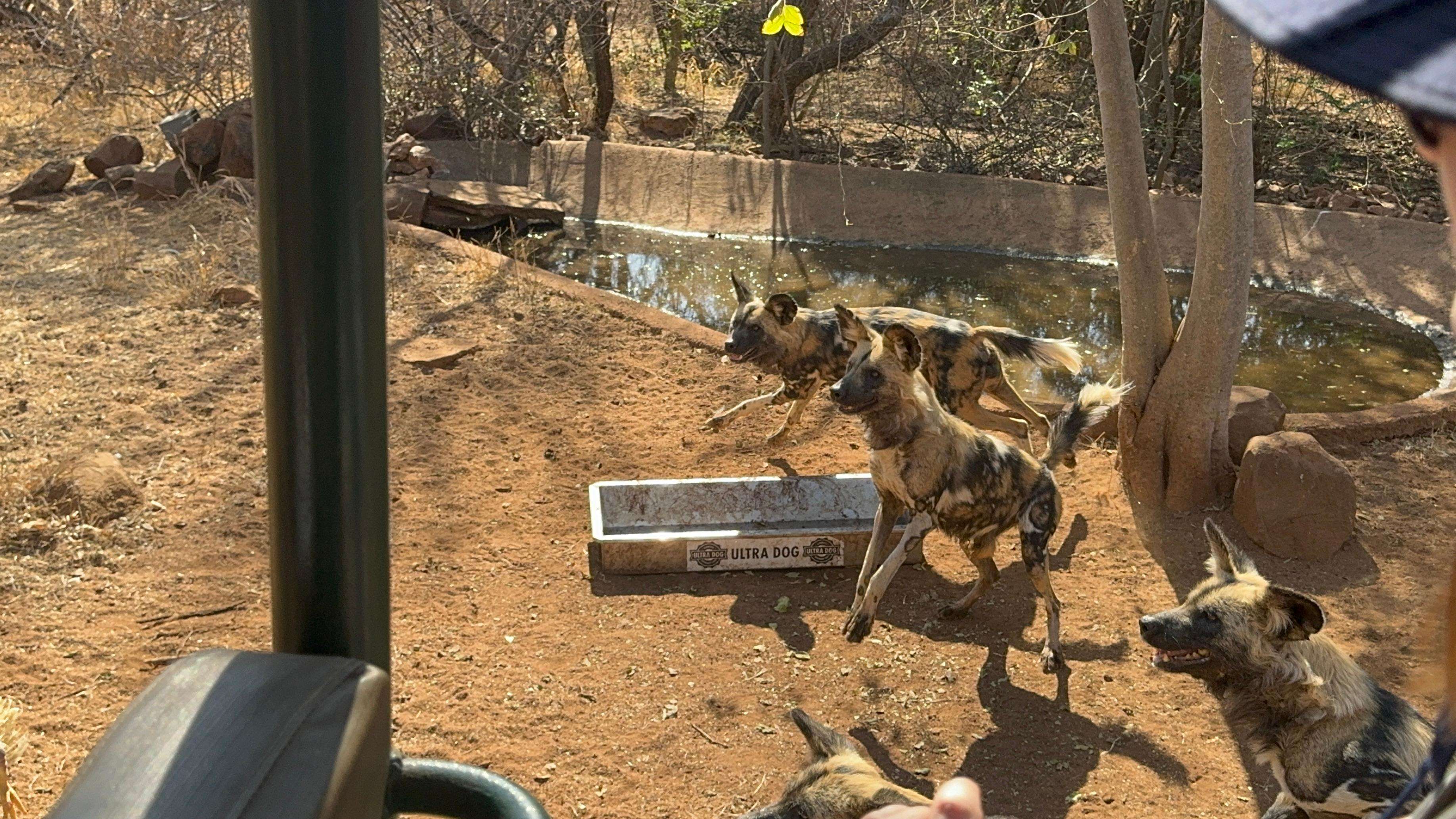 メディア コラージュ
