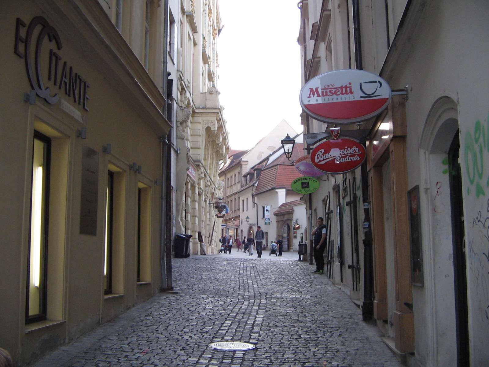Galerie média