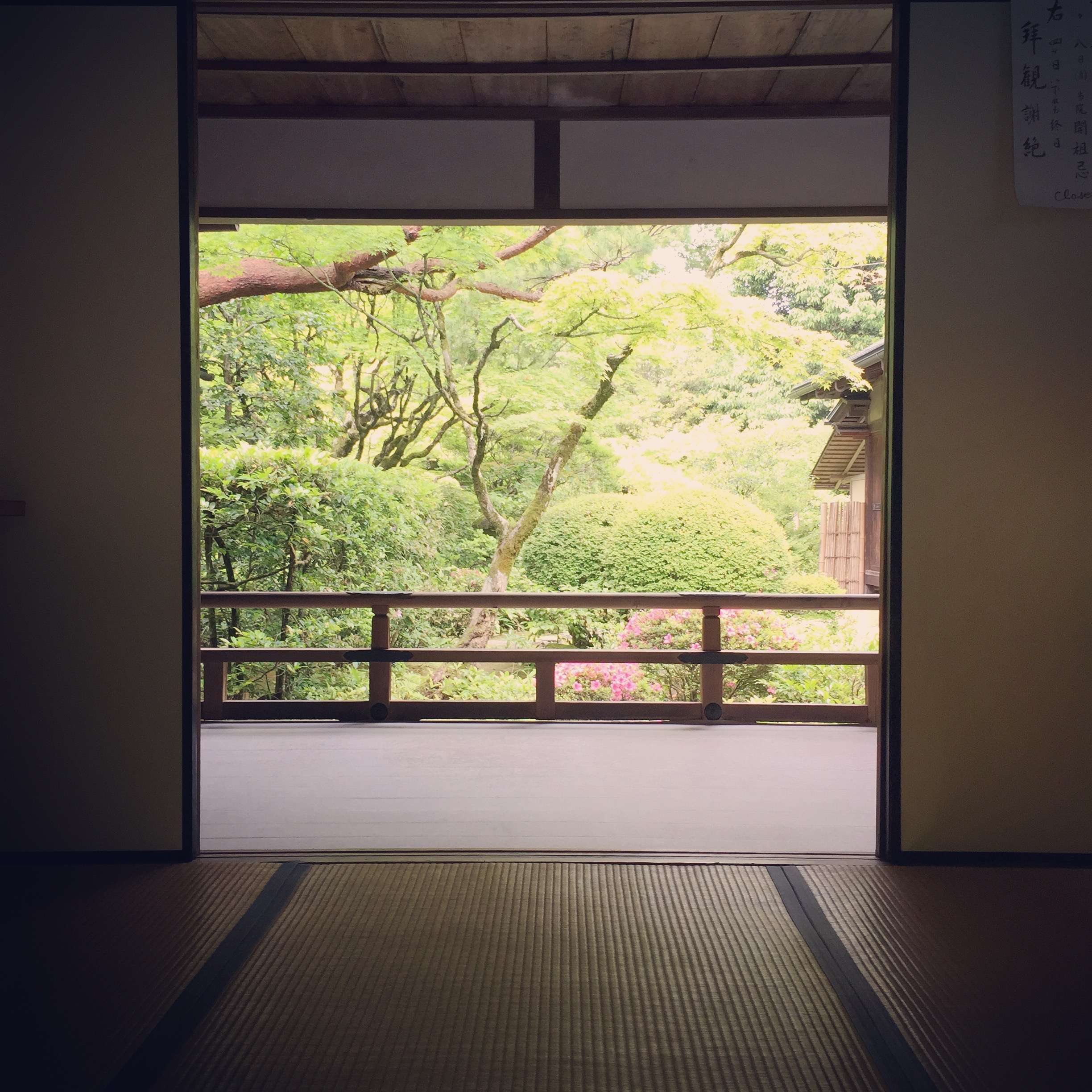 メディア コラージュ