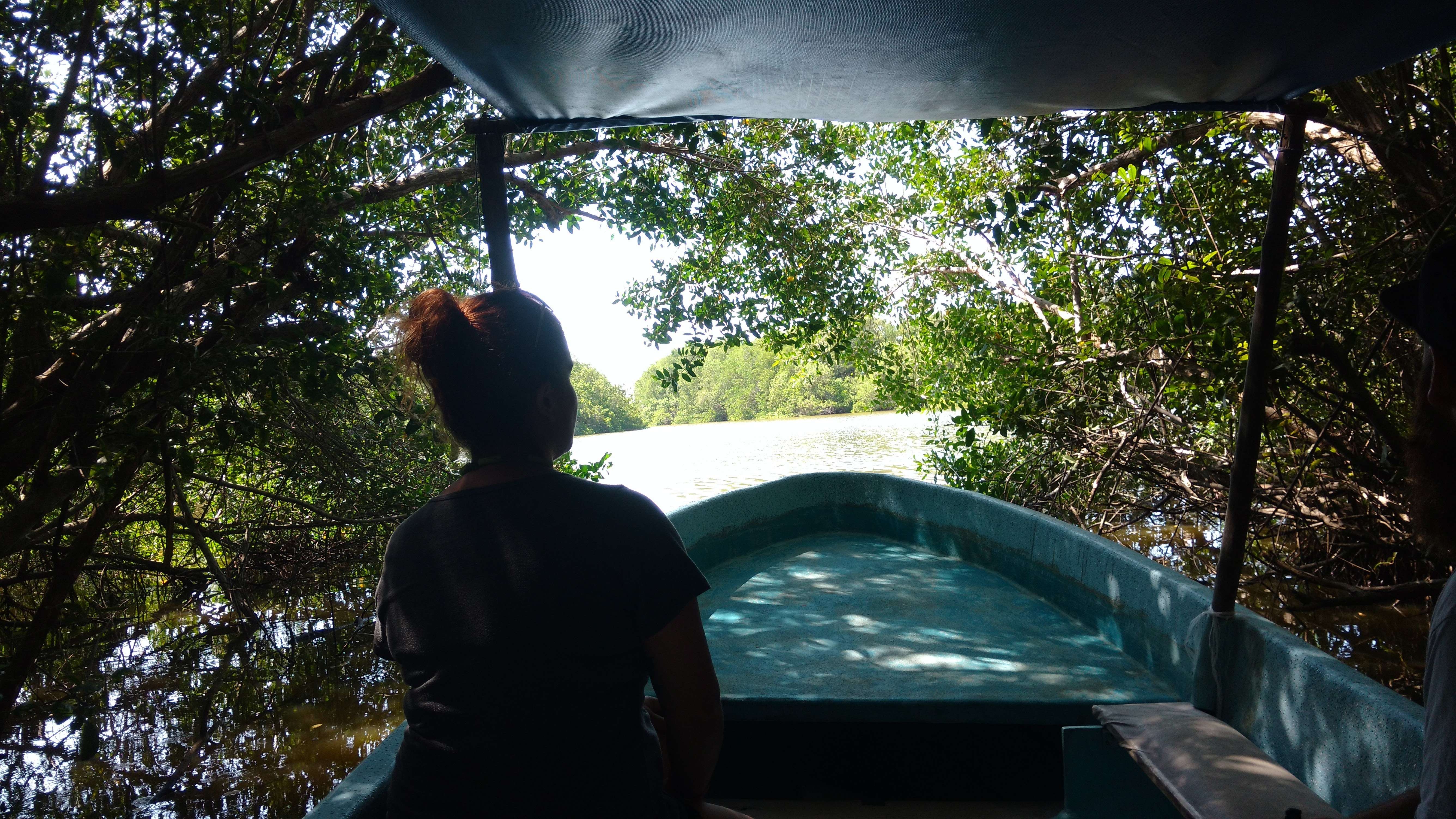 Baby turtle release, lagoon boat ride, and crocodile farm tour near Acapulco