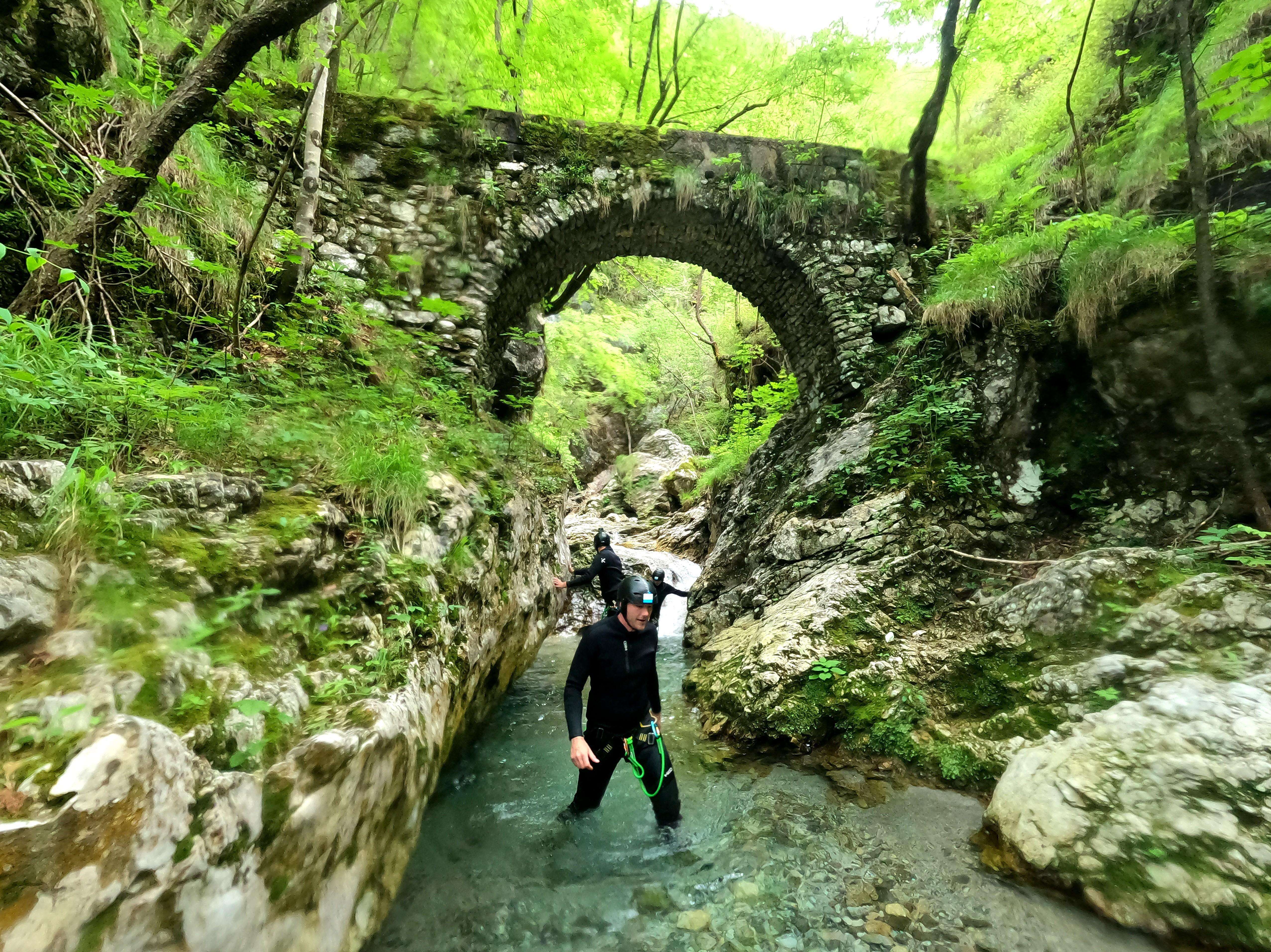 Galería de fotos para redes