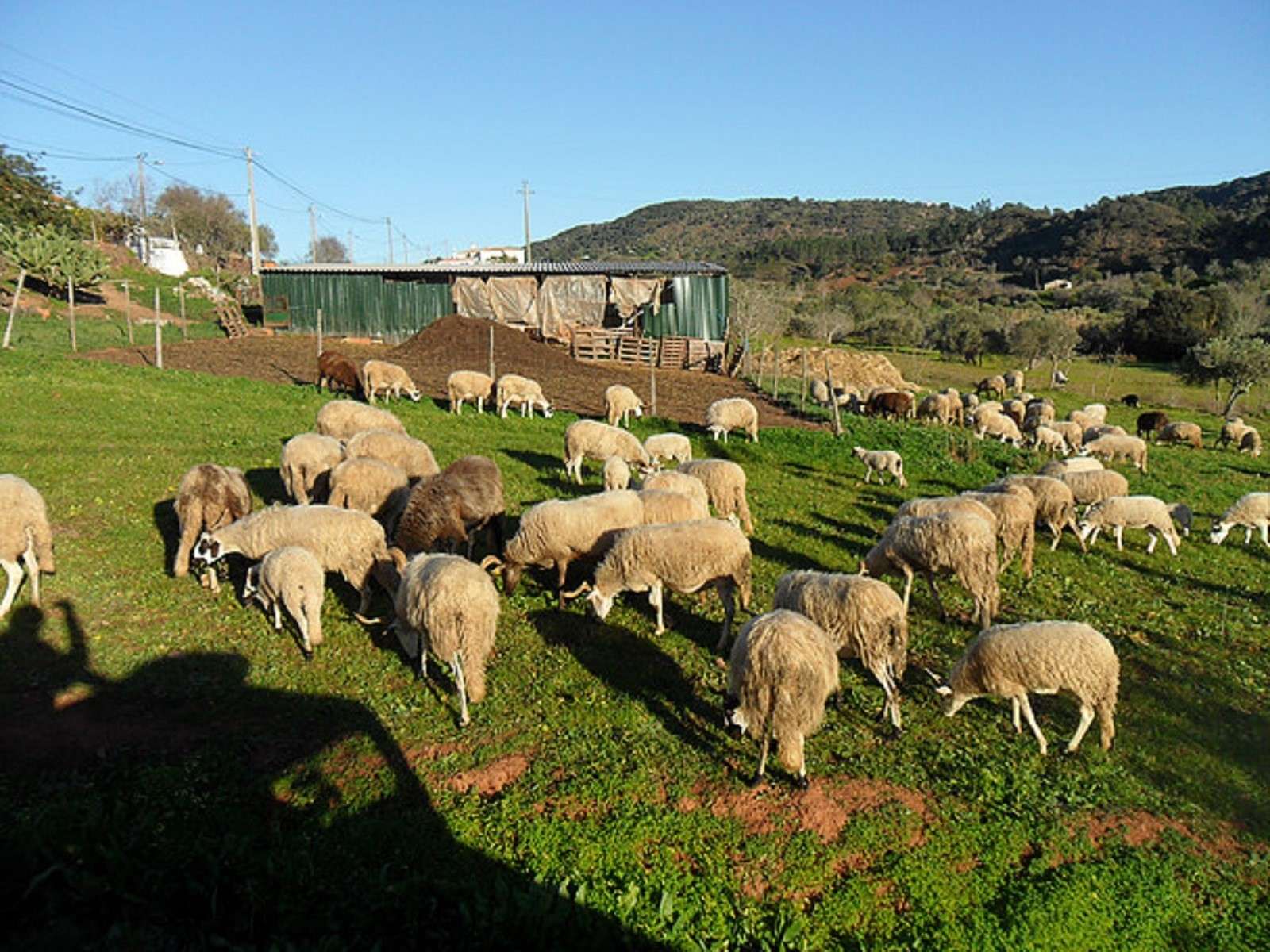 Colagem de mídia