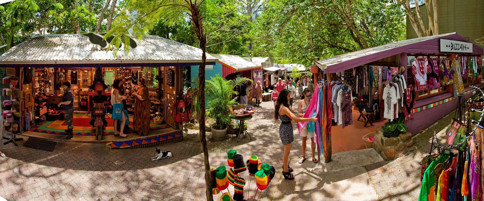 Galería de fotos para redes