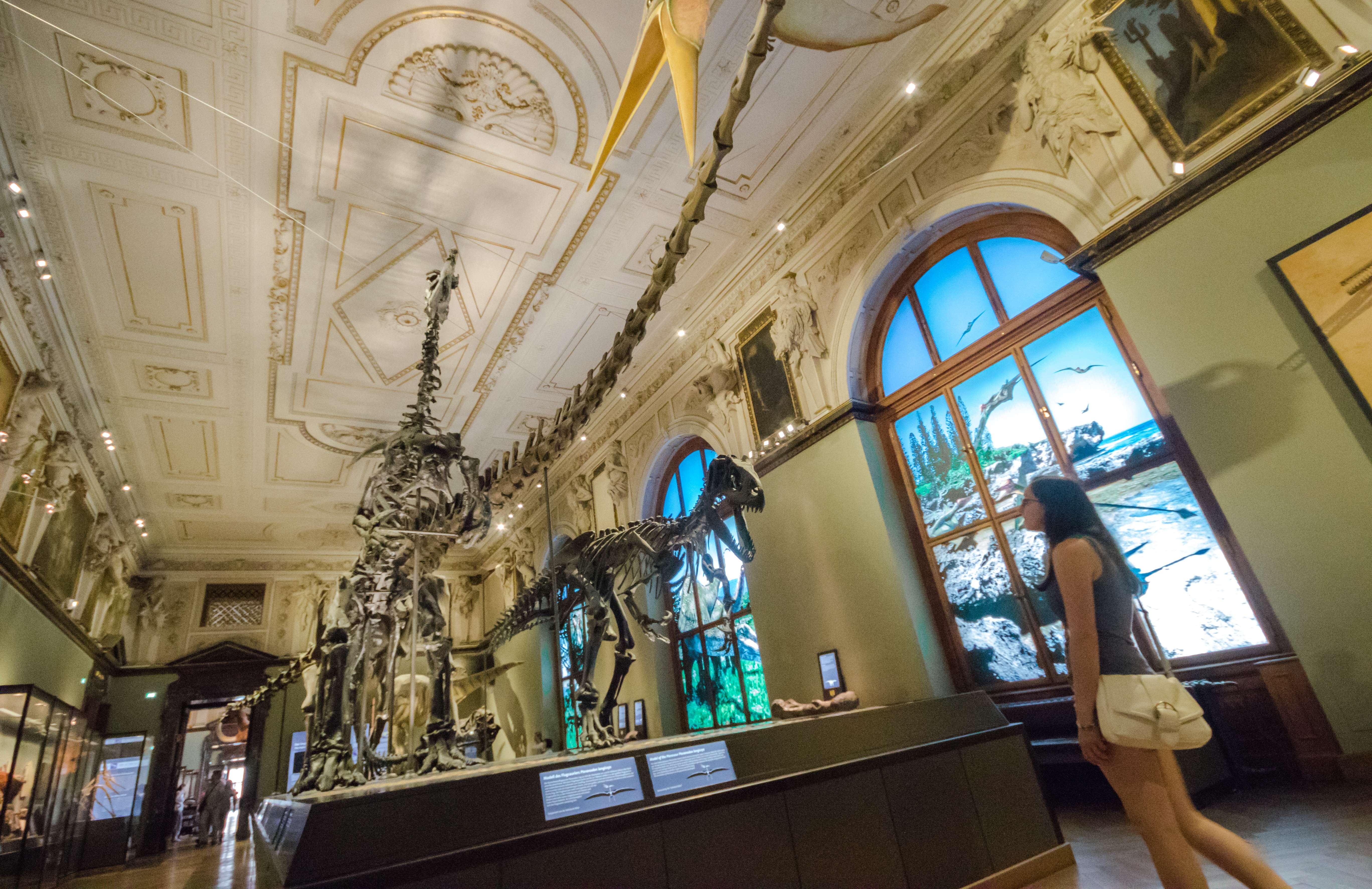 Galerie média