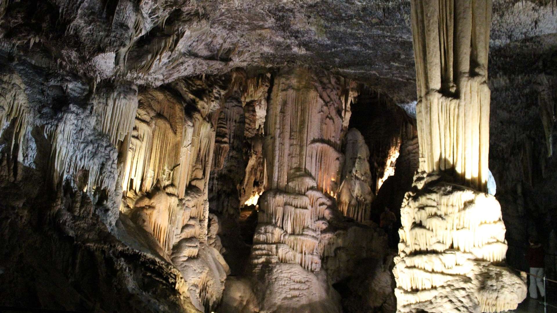 Galería de fotos para redes