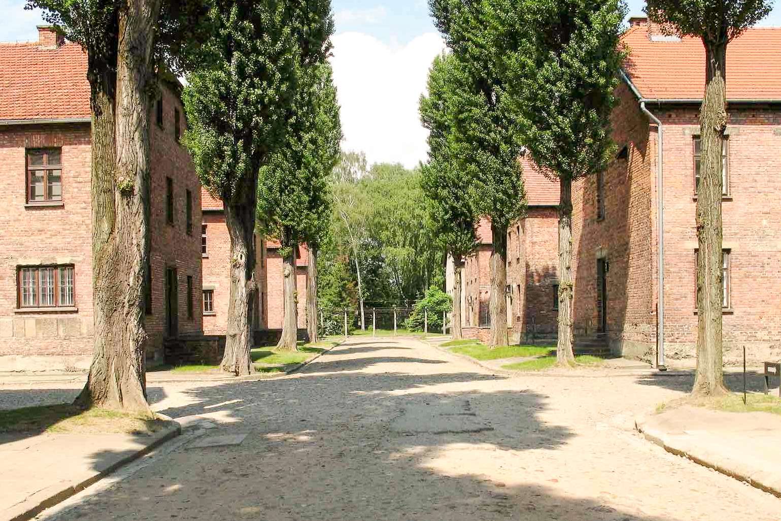 Galerie média