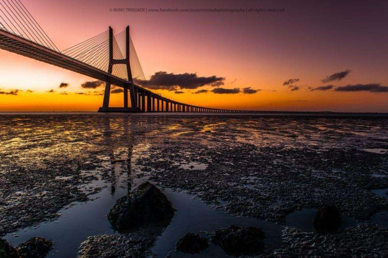 Colagem de mídia