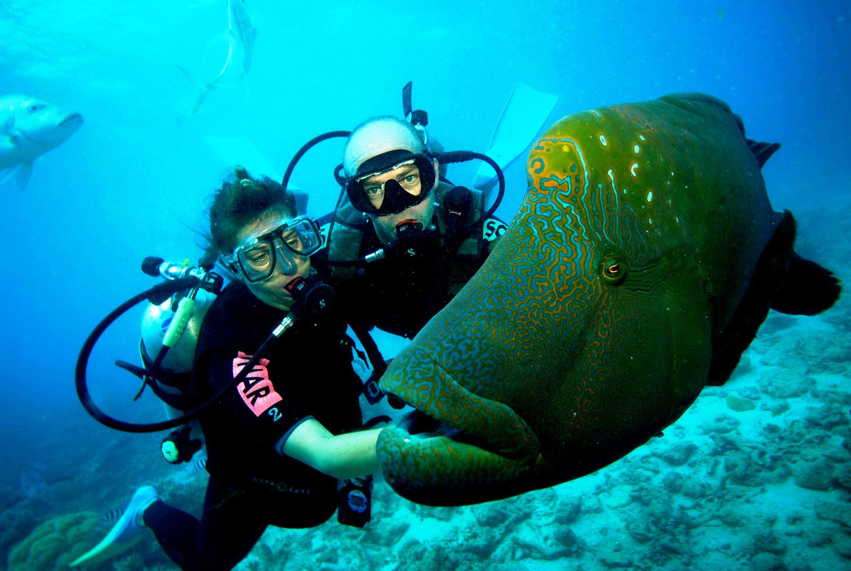 Scuba Diving & 5 Watersports at Paradise Beach in this destination
