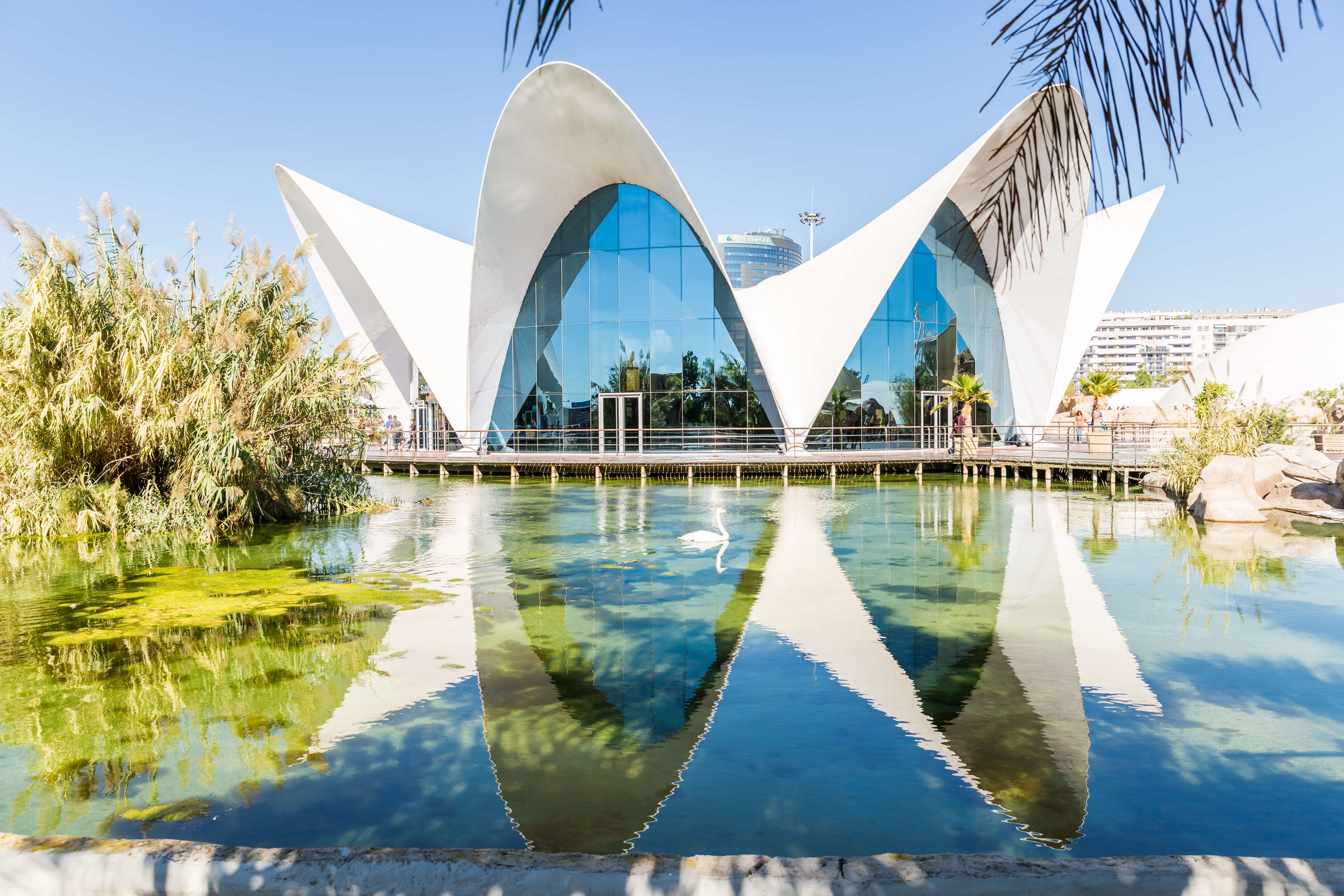 Colagem de mídia