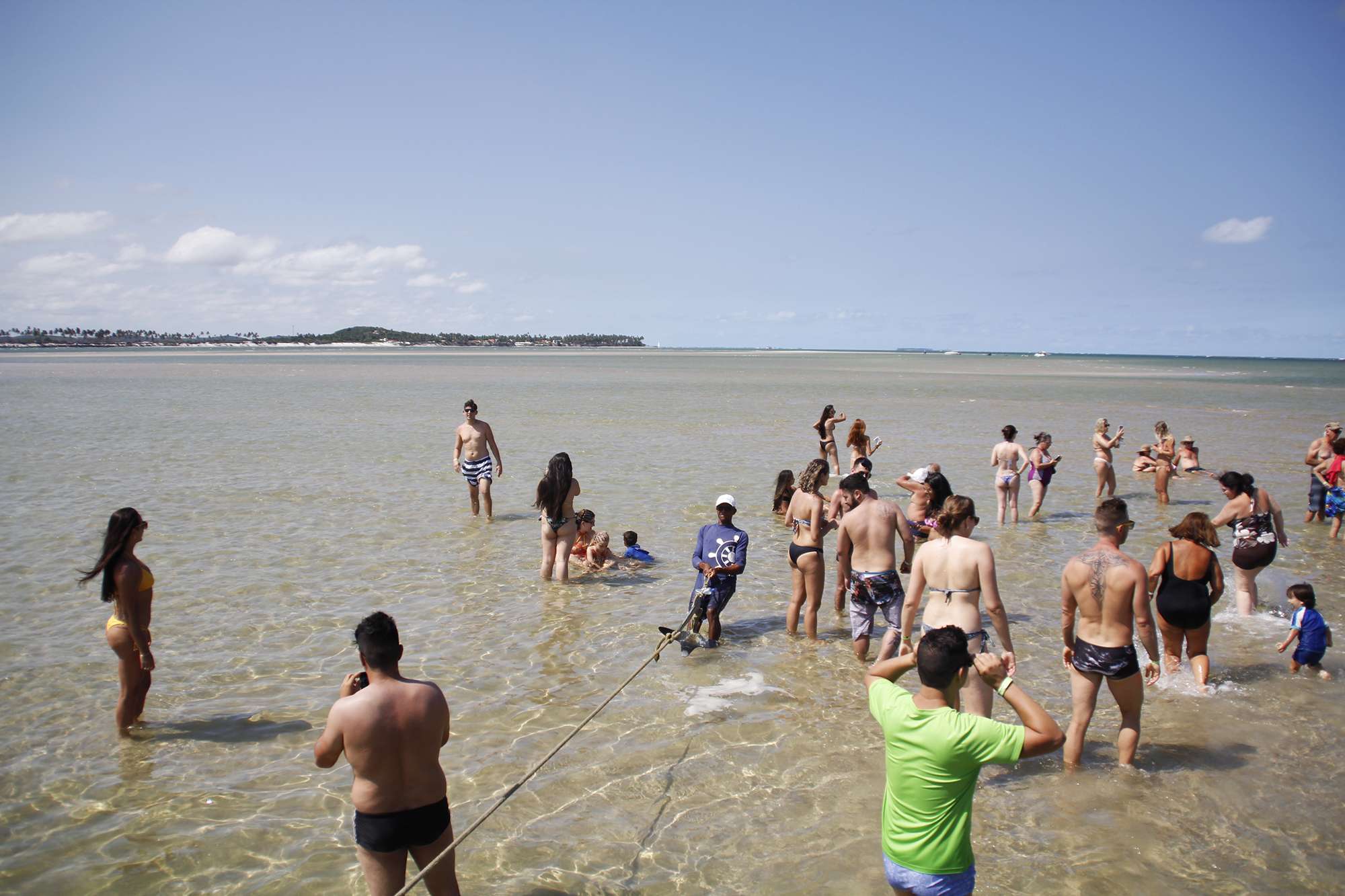 Colagem de mídia