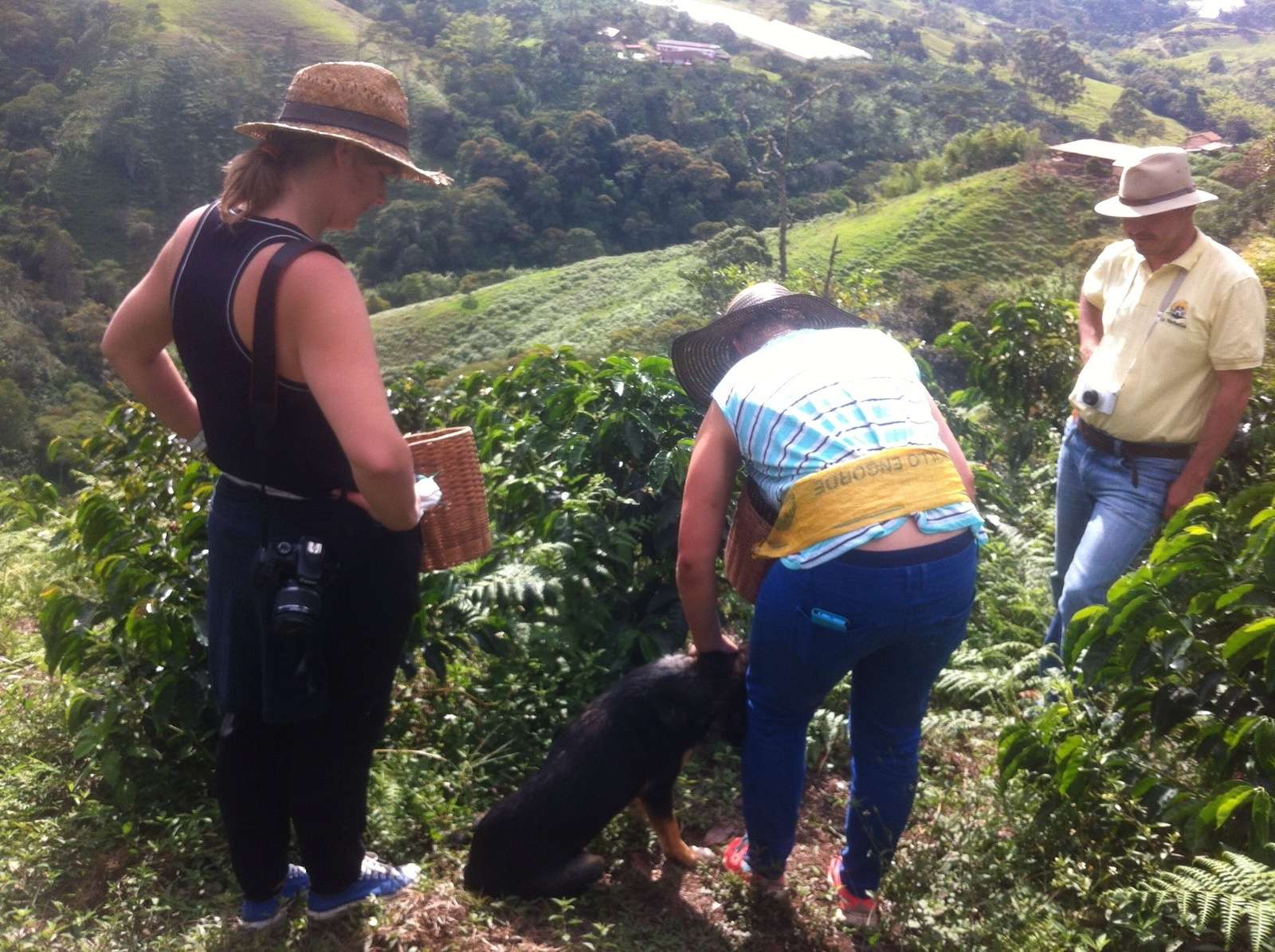 Colagem de mídia