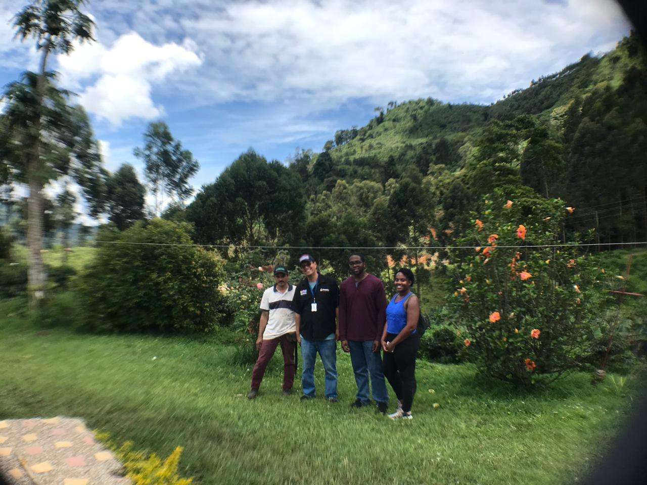 Colagem de mídia