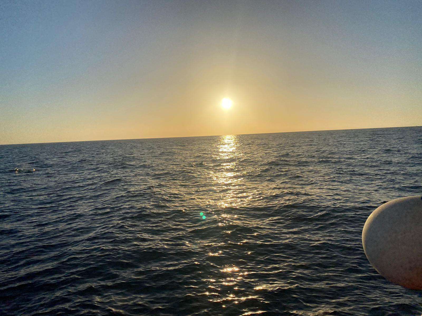 Galería de fotos para redes