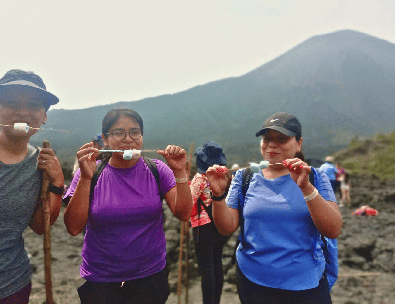 Galería de fotos para redes