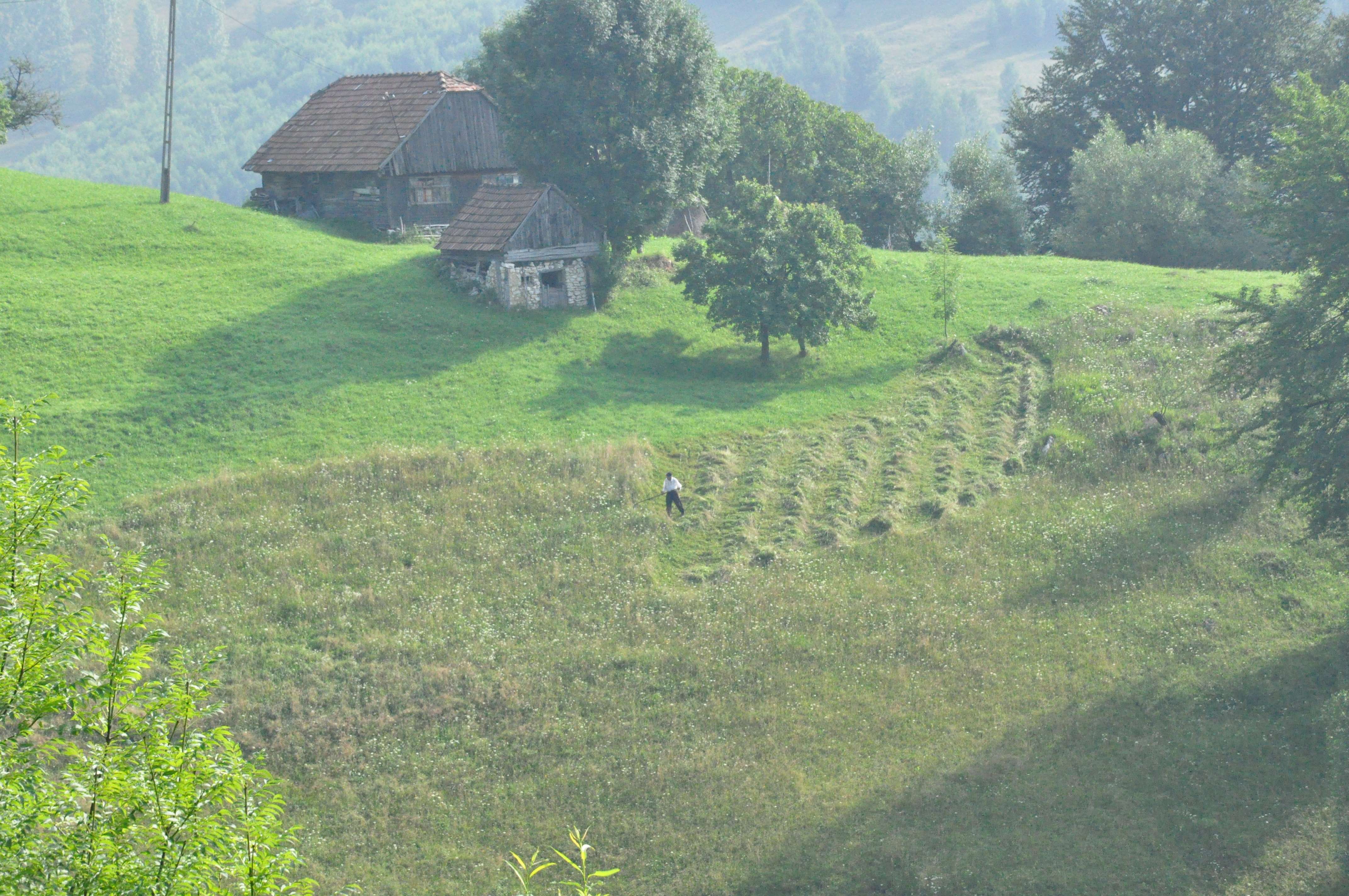 Colagem de mídia