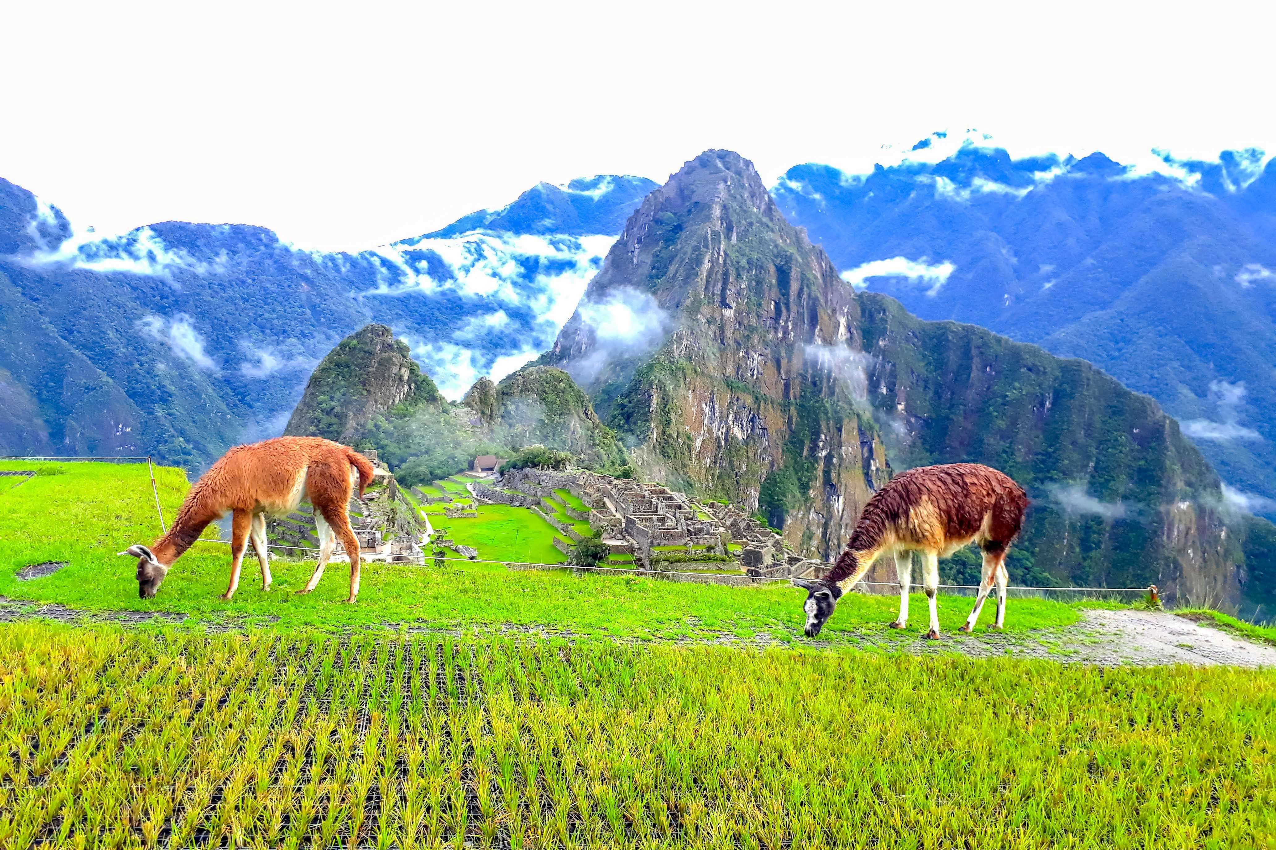 Galería de fotos para redes