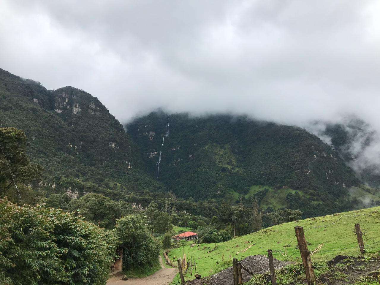 Colagem de mídia