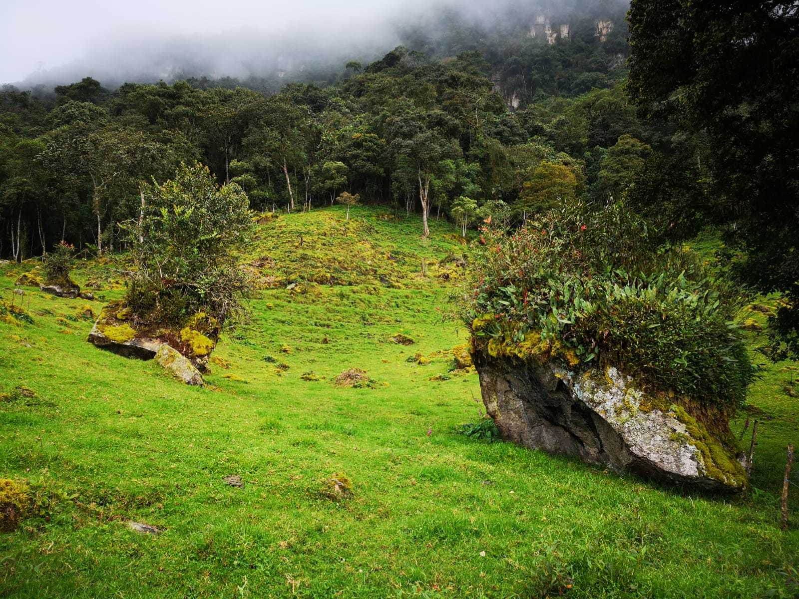 Colagem de mídia