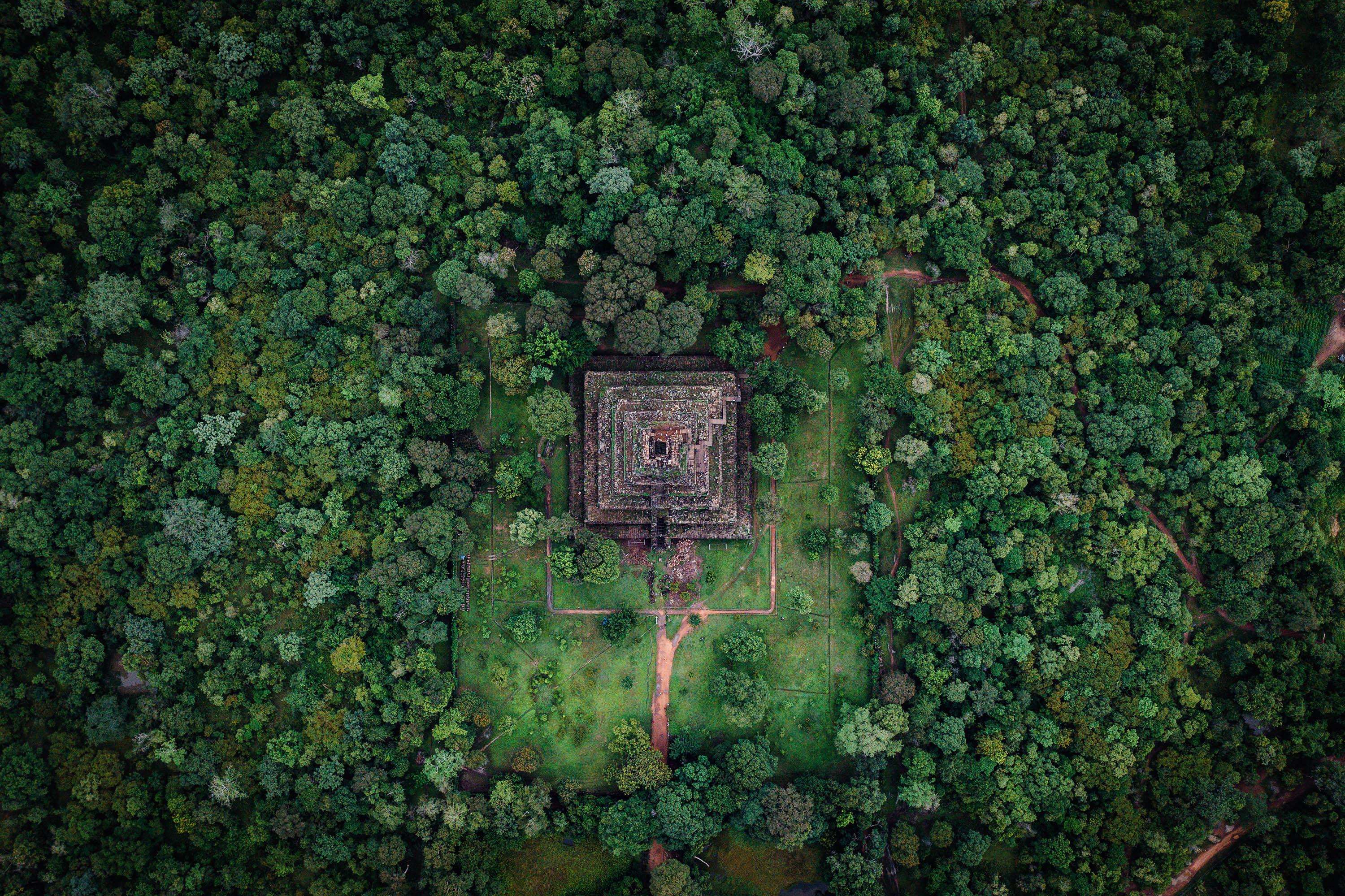 Colagem de mídia
